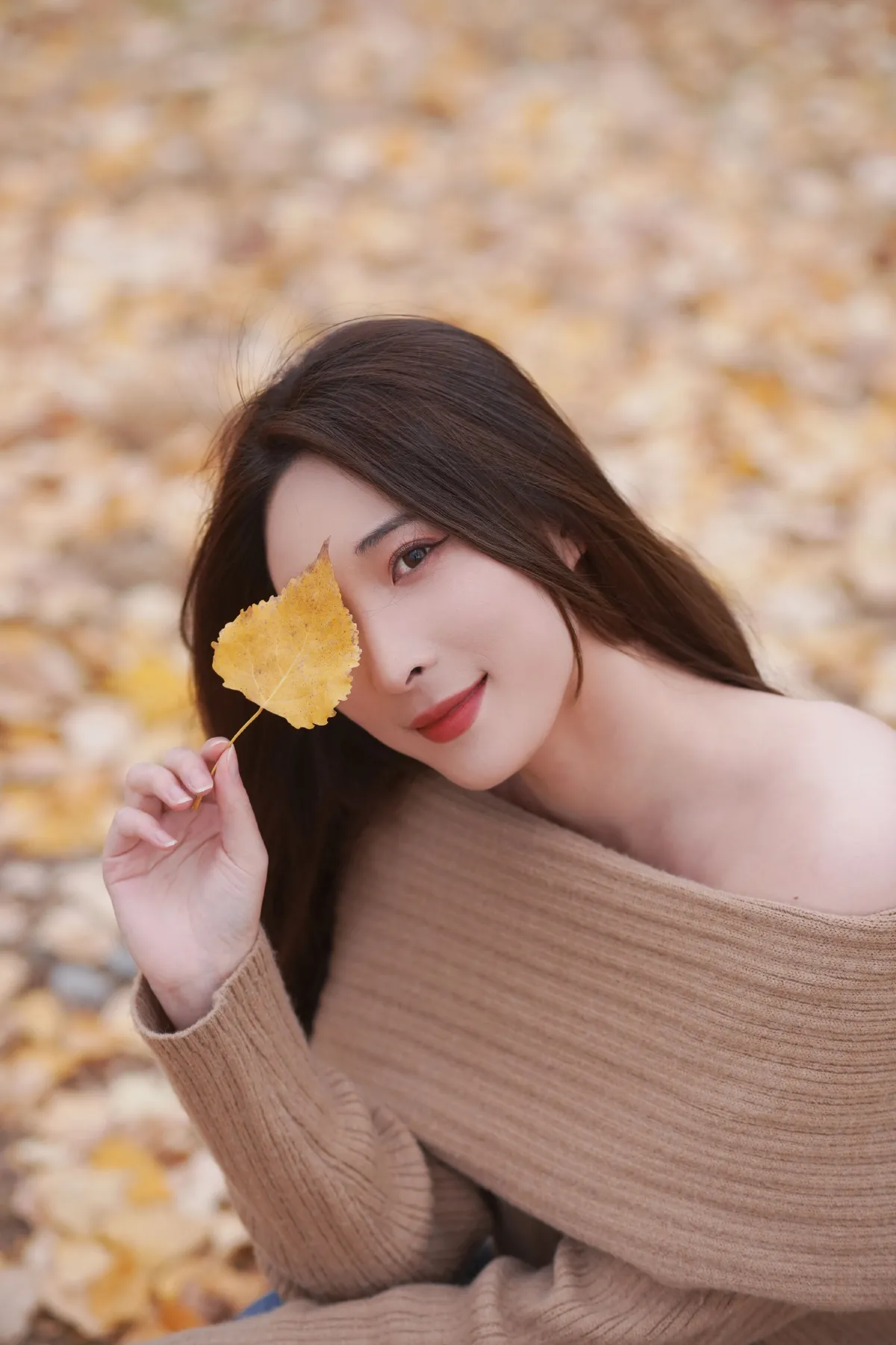 叶落知秋2