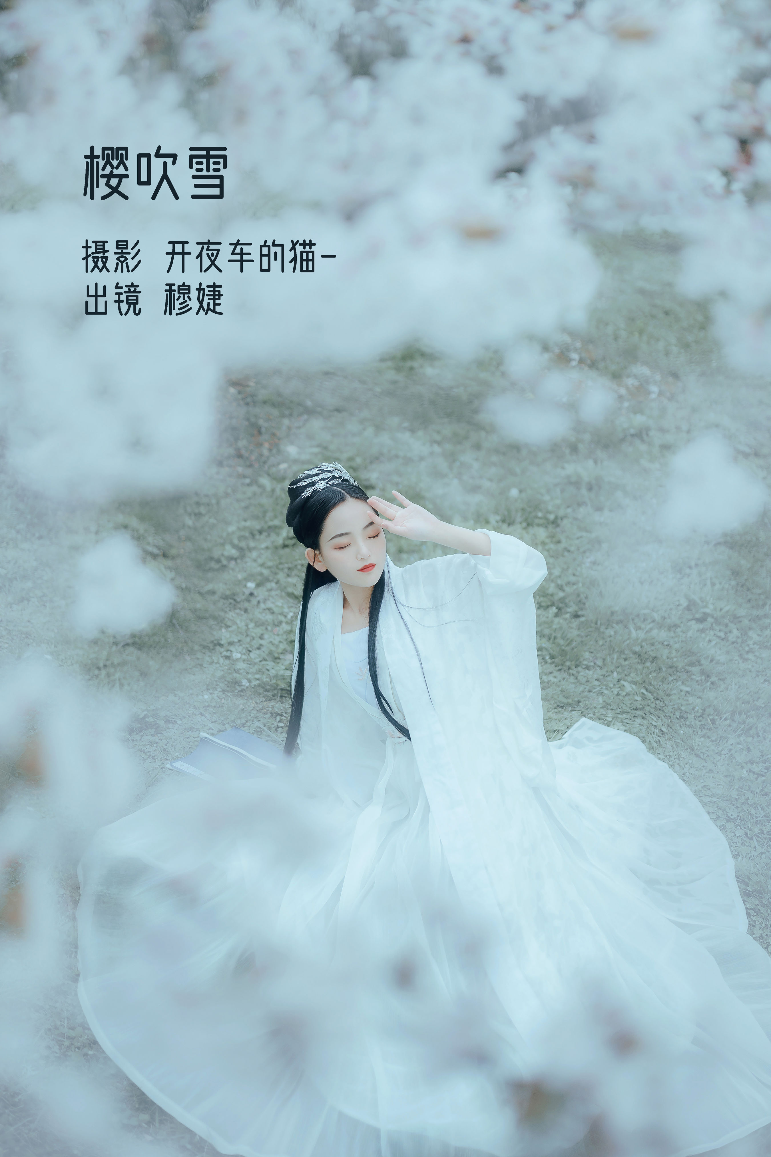 开夜车的猫-_穆婕《樱吹雪》美图作品图片1