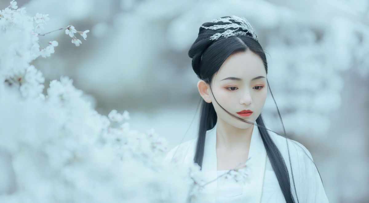 开夜车的猫-_穆婕《樱吹雪》美图作品图片4