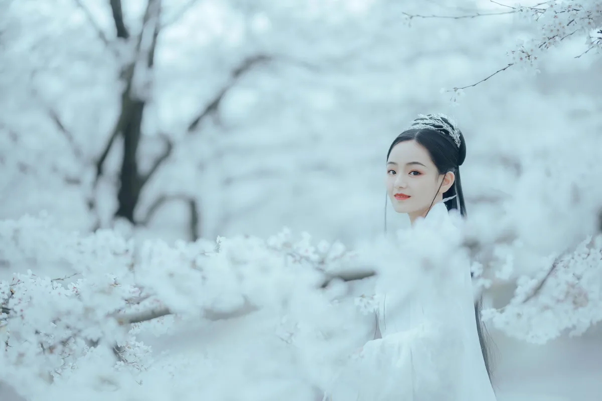 樱吹雪