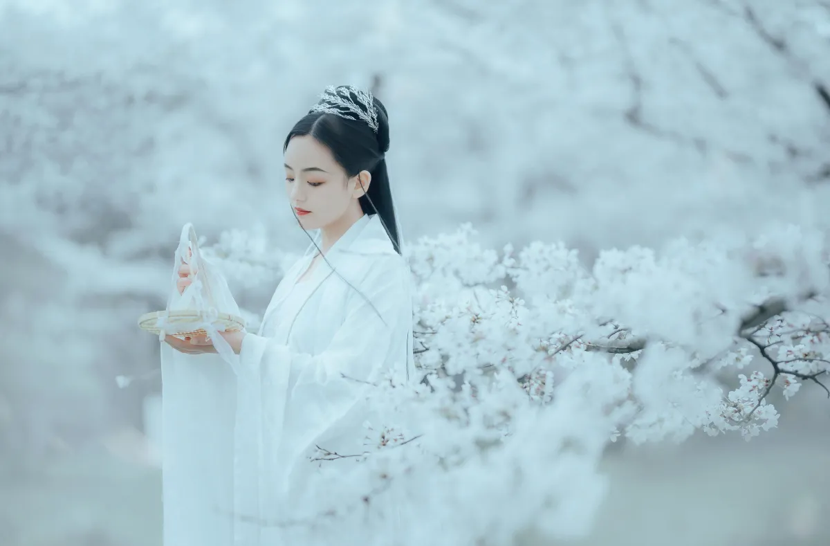 樱吹雪