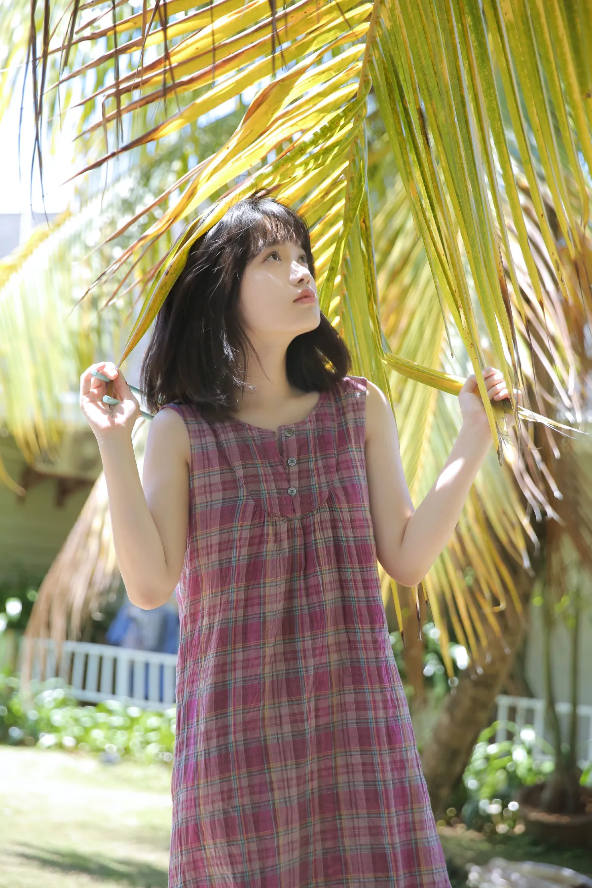 慵懒的夏日气息
