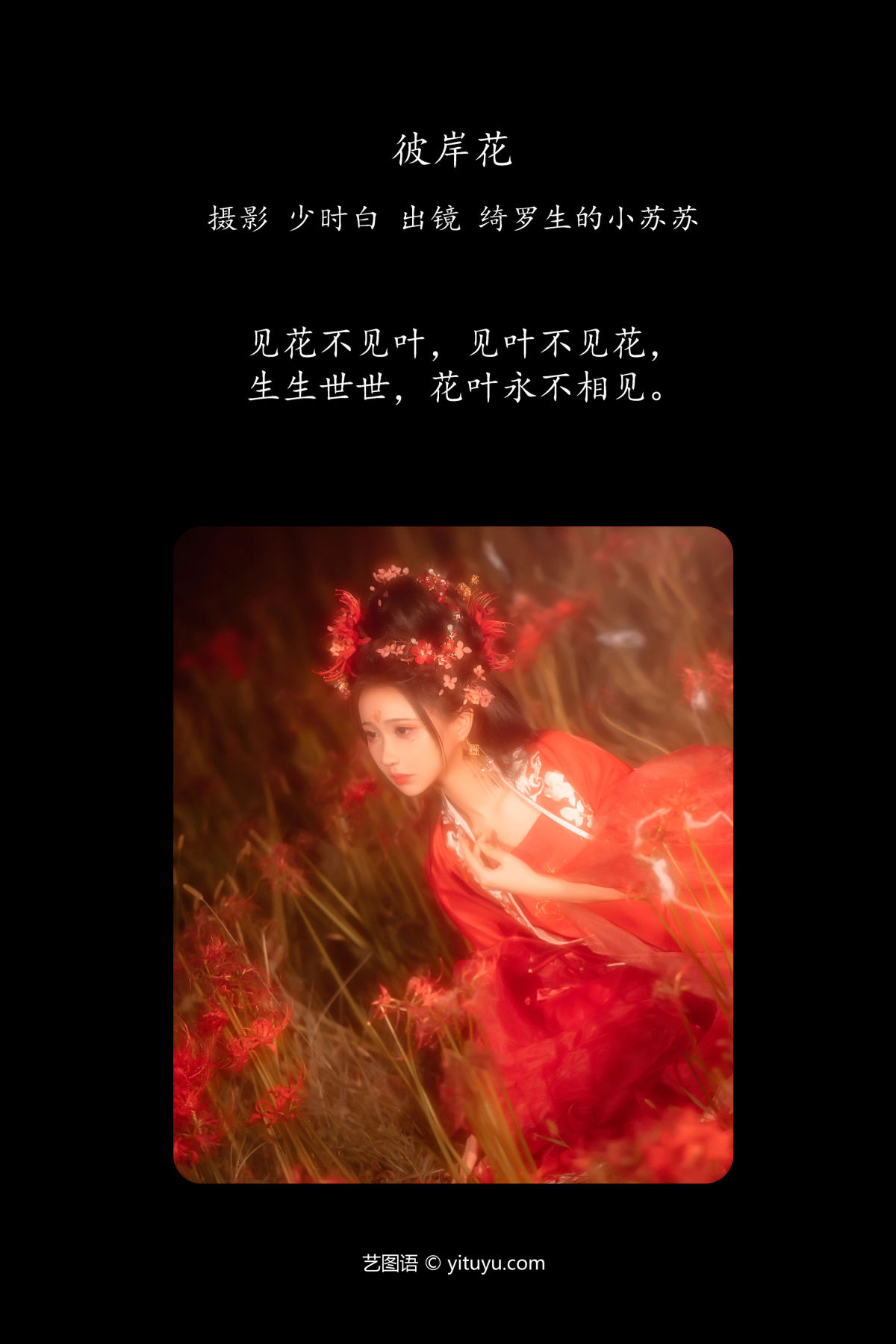 少时白_绮罗生的小苏苏《彼岸花》美图作品图片2