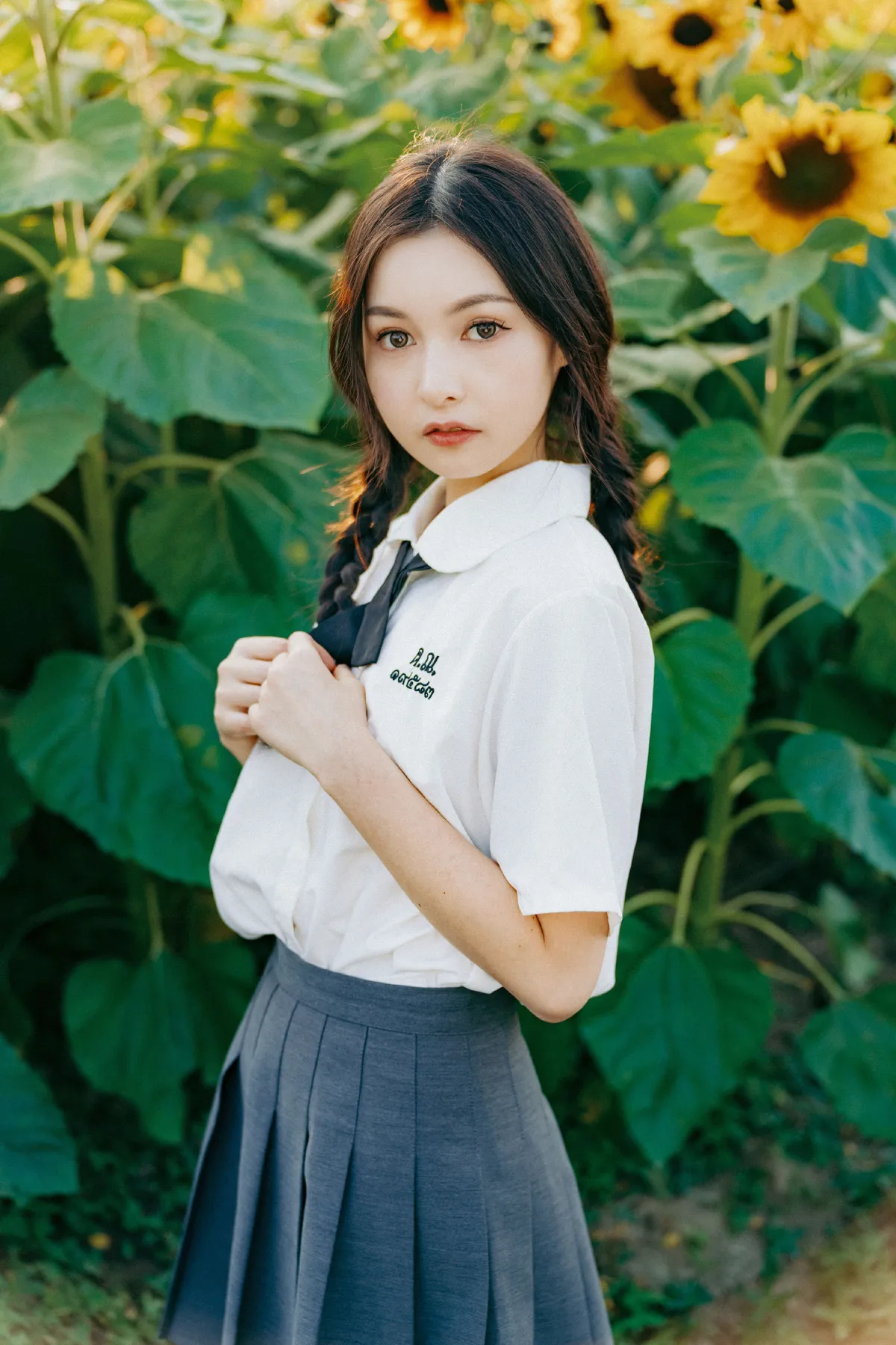向日葵的秋天2