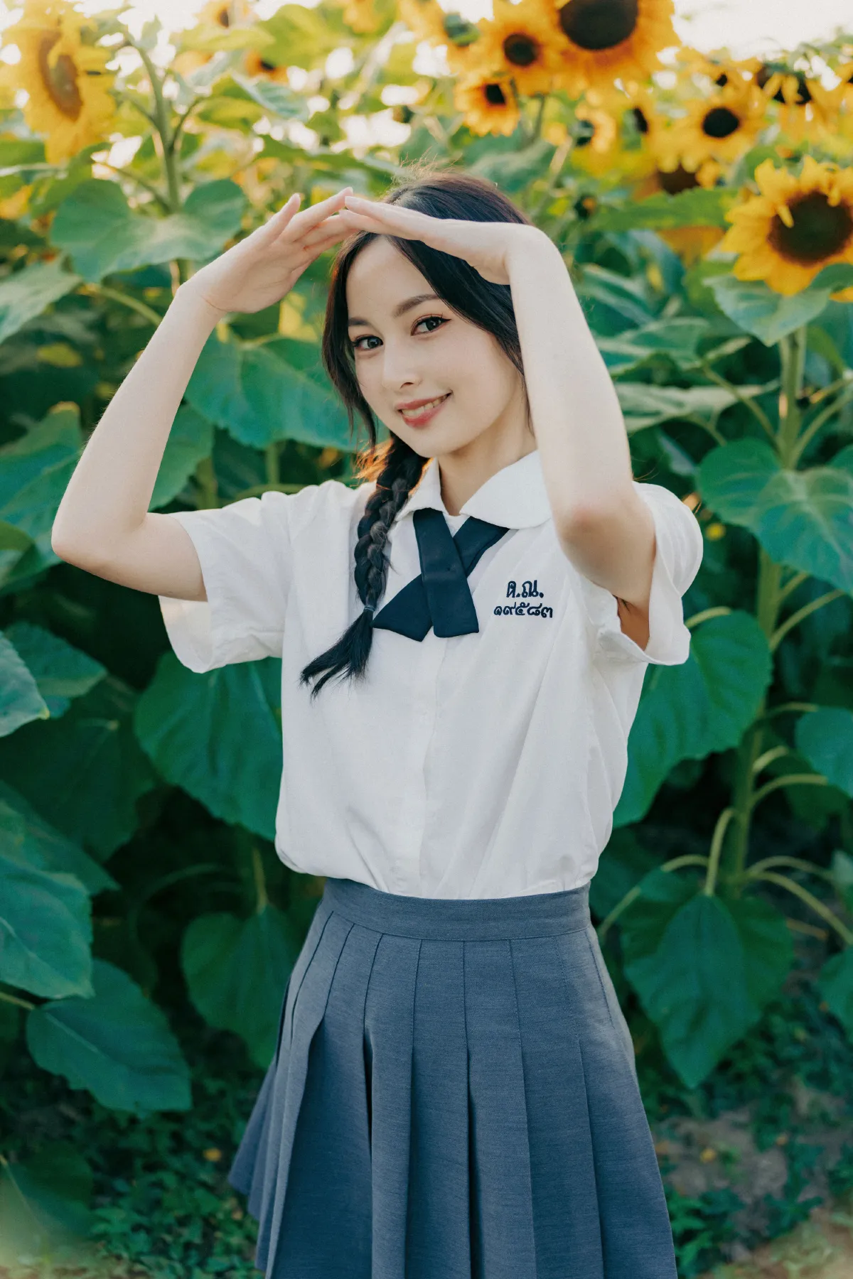 向日葵的秋天