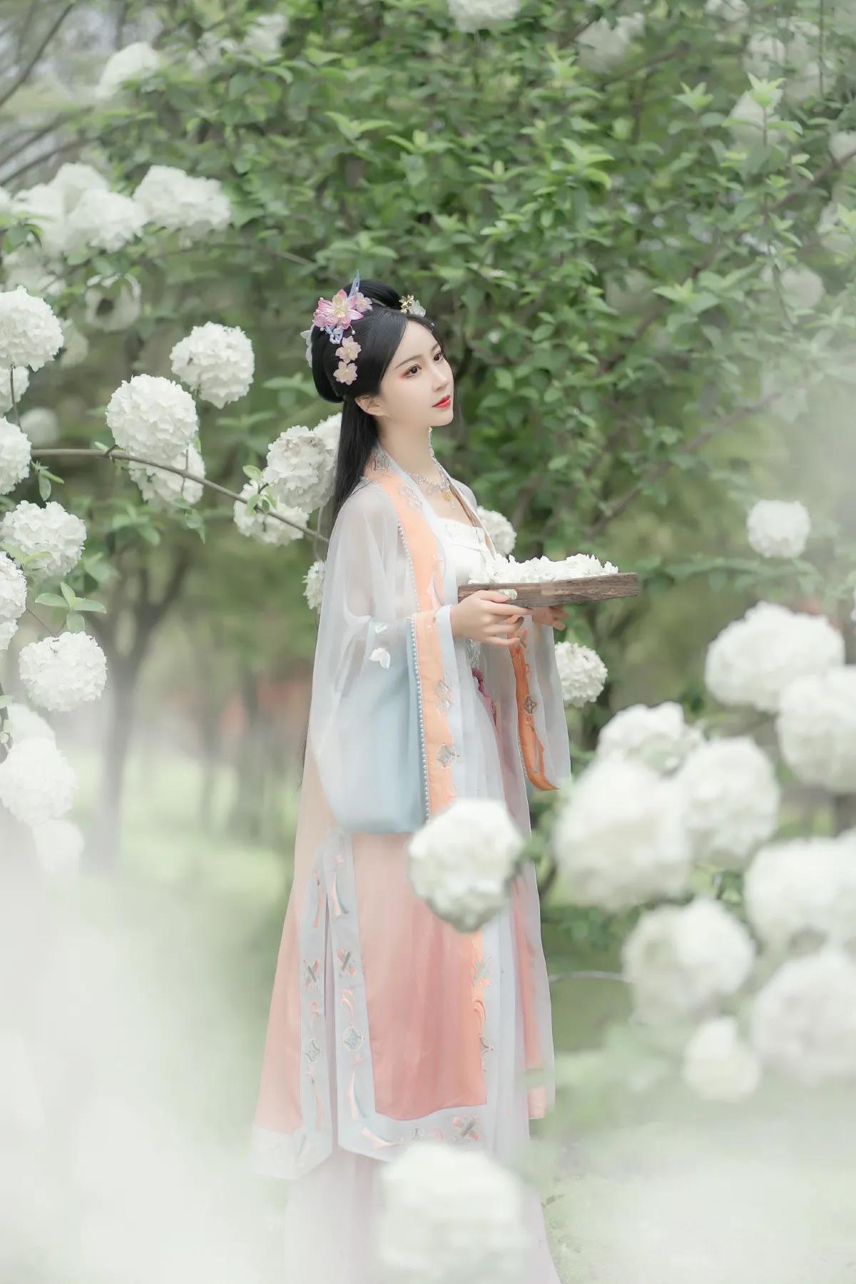 少时白_绮罗生的小苏苏《玉楼春》美图作品图片5