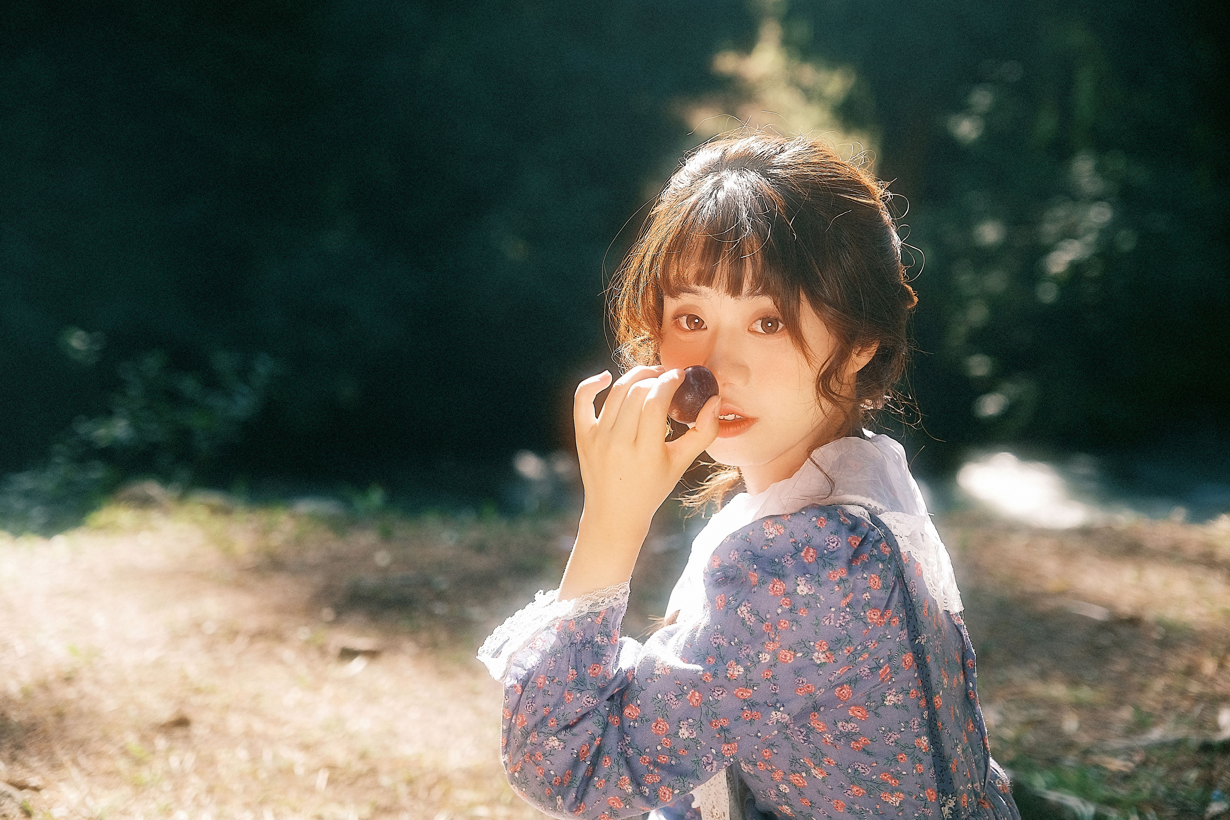 藏在梦里的那片森林