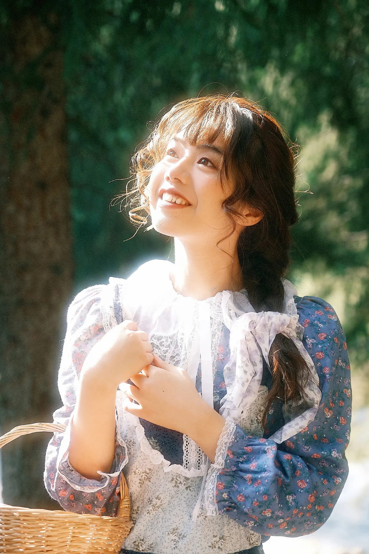 藏在梦里的那片森林3