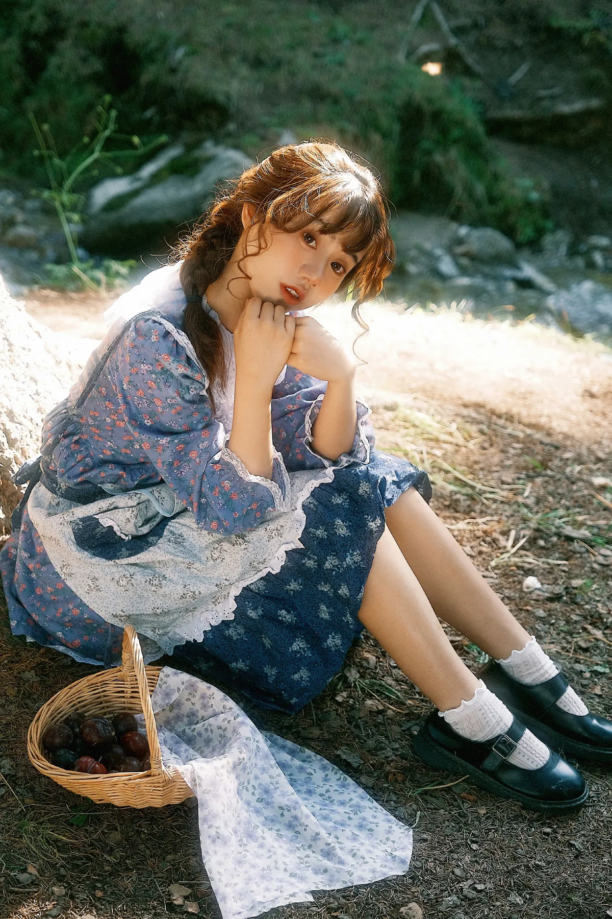 藏在梦里的那片森林