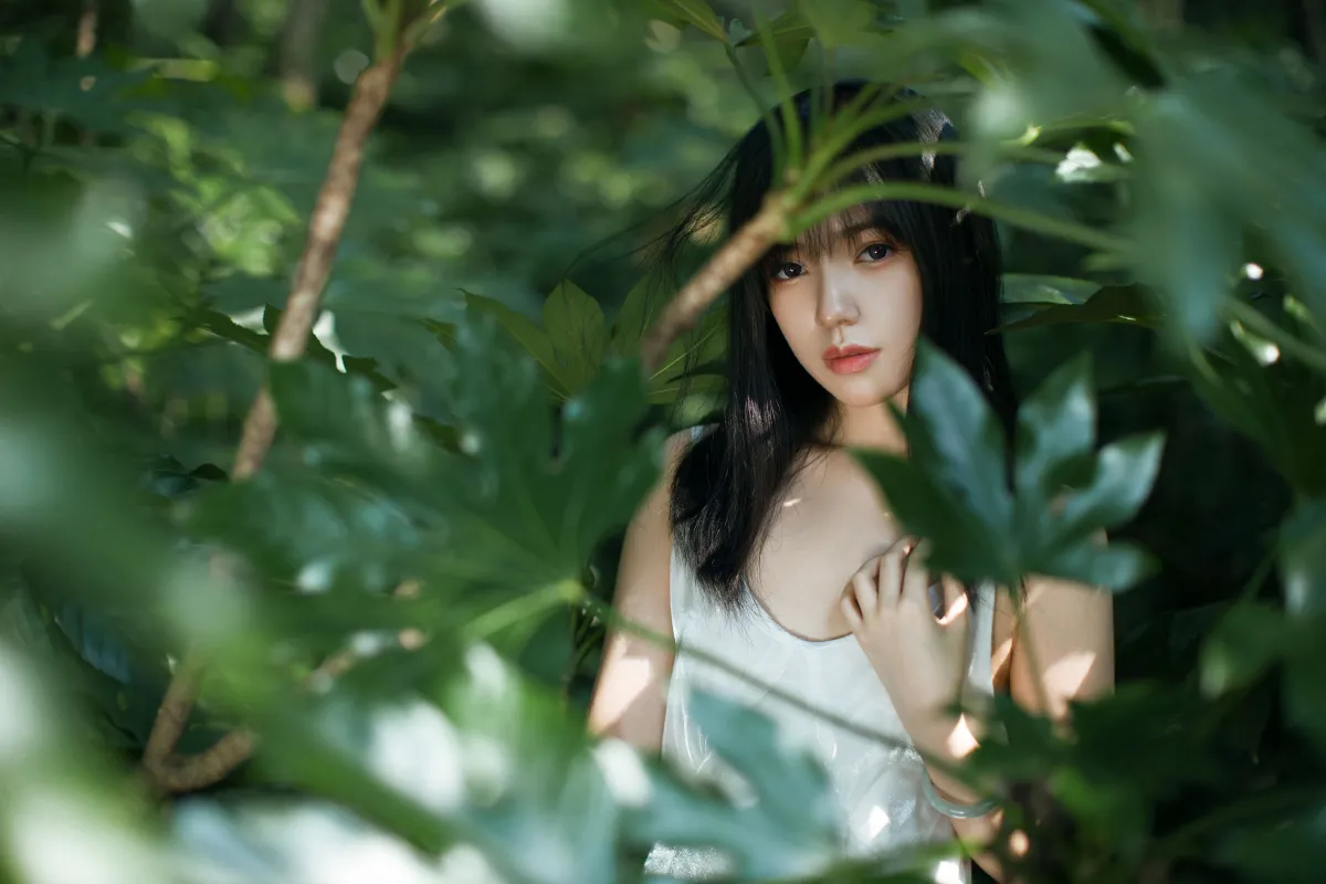 绿野仙踪1
