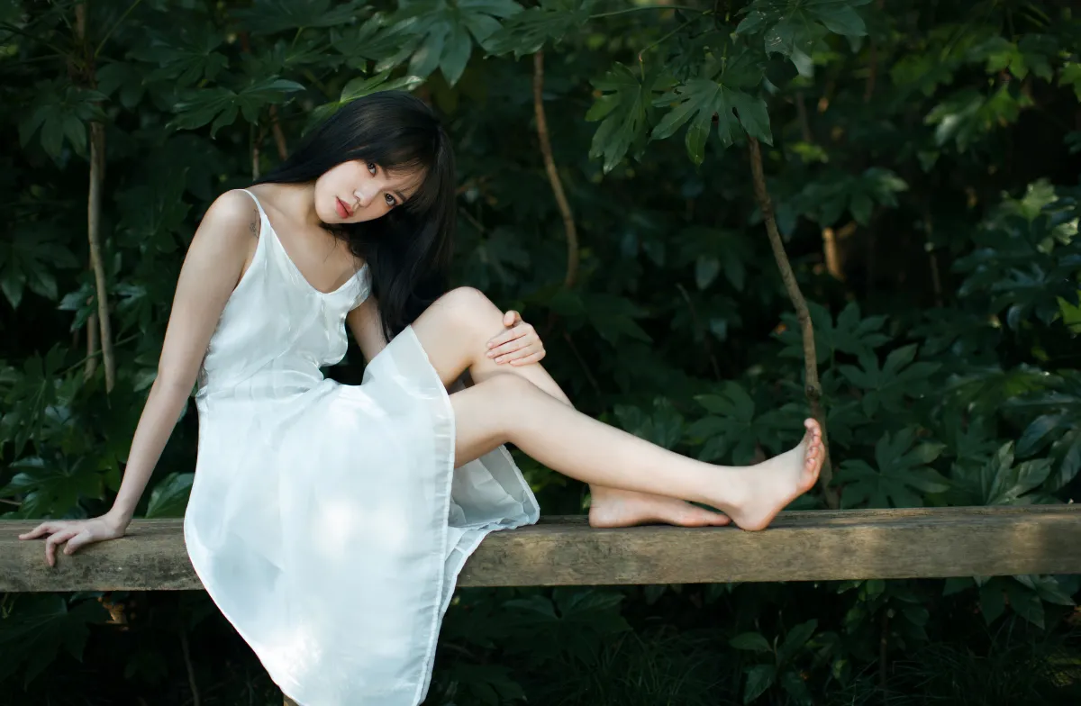 绿野仙踪2
