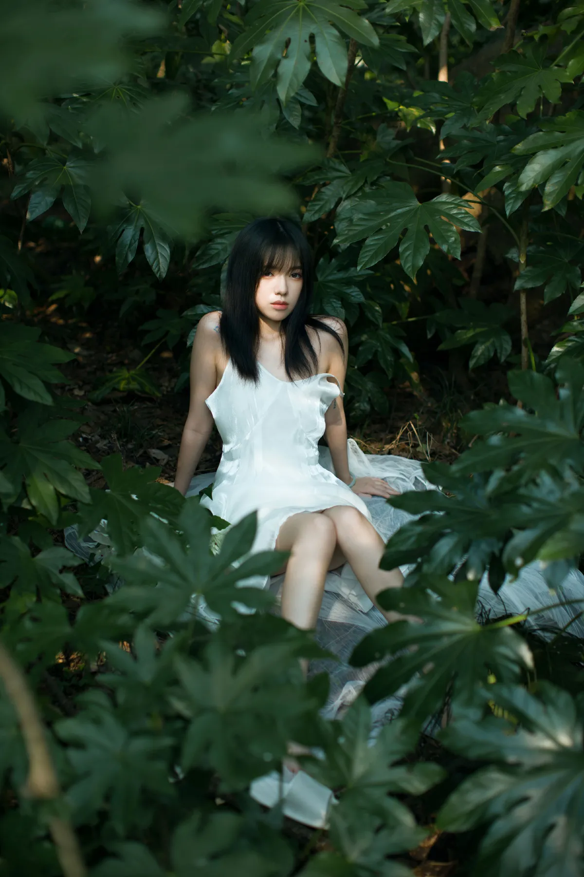 绿野仙踪