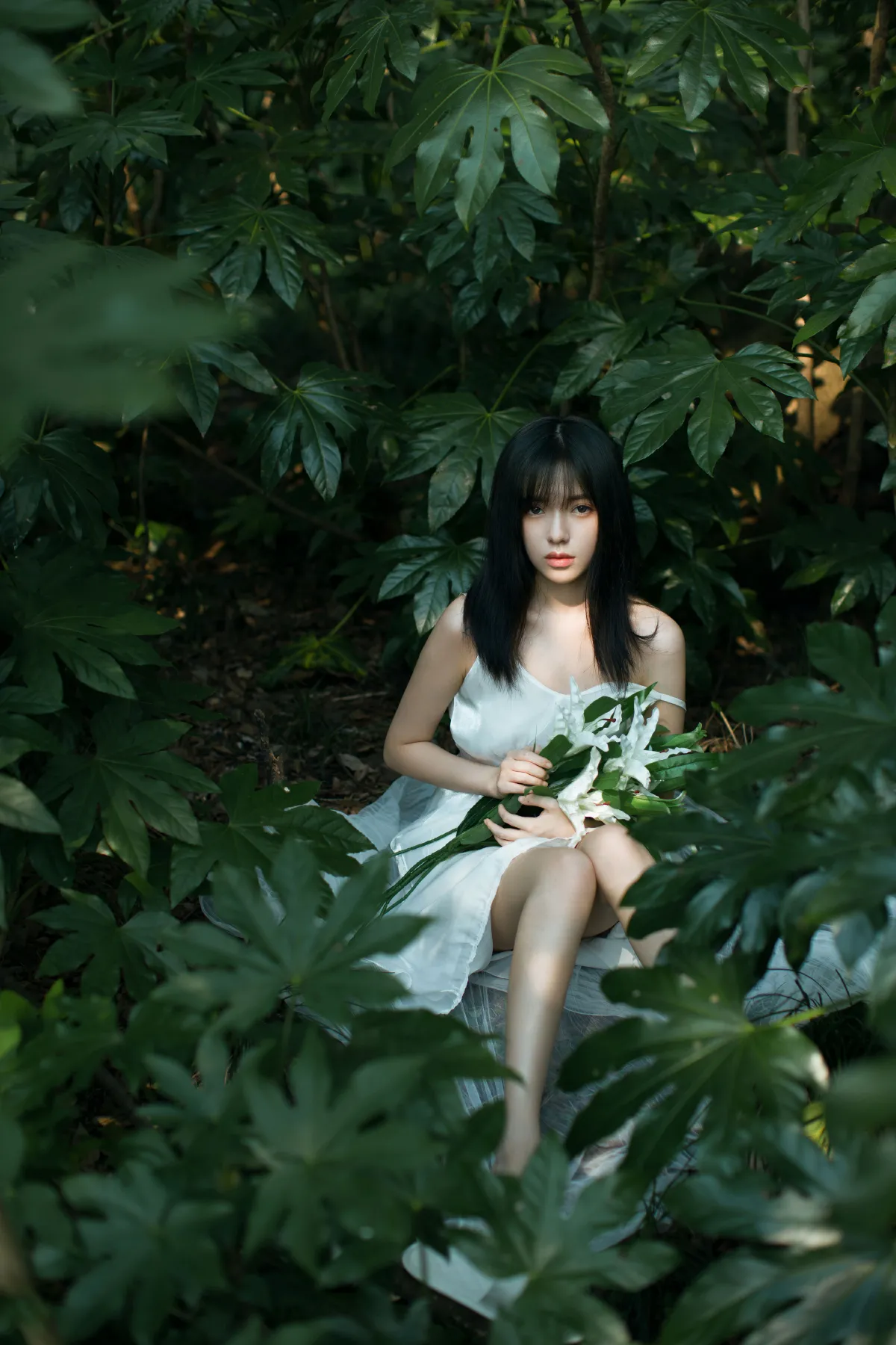 绿野仙踪3