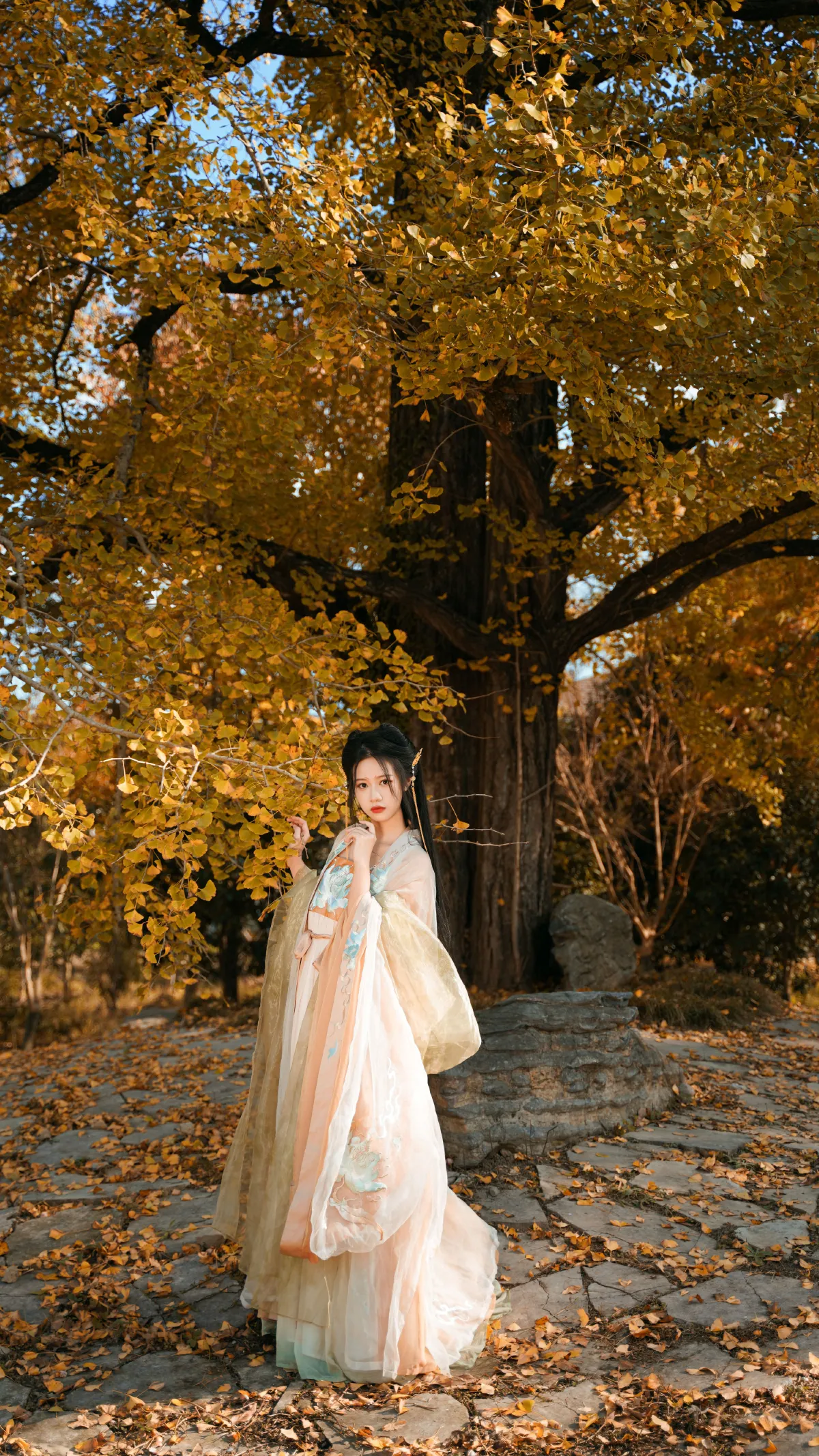 银杏树下2