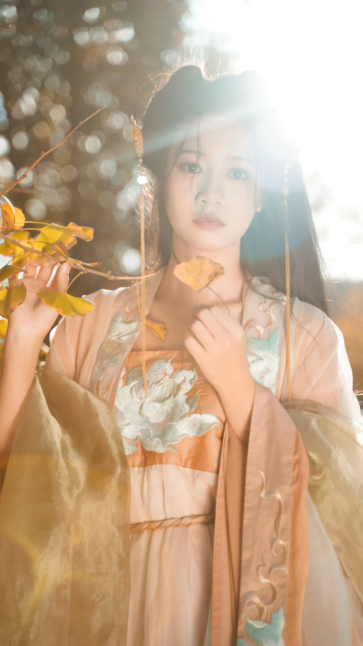 银杏树下4