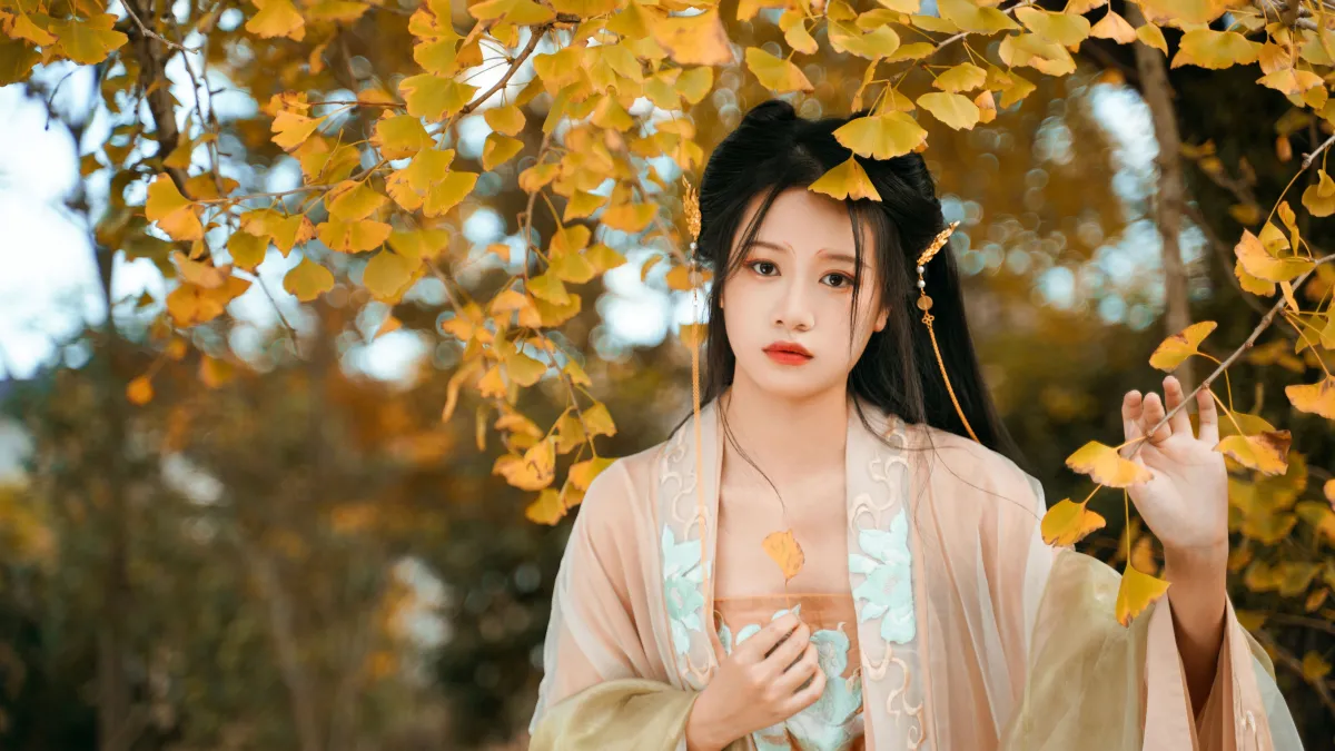 银杏树下5