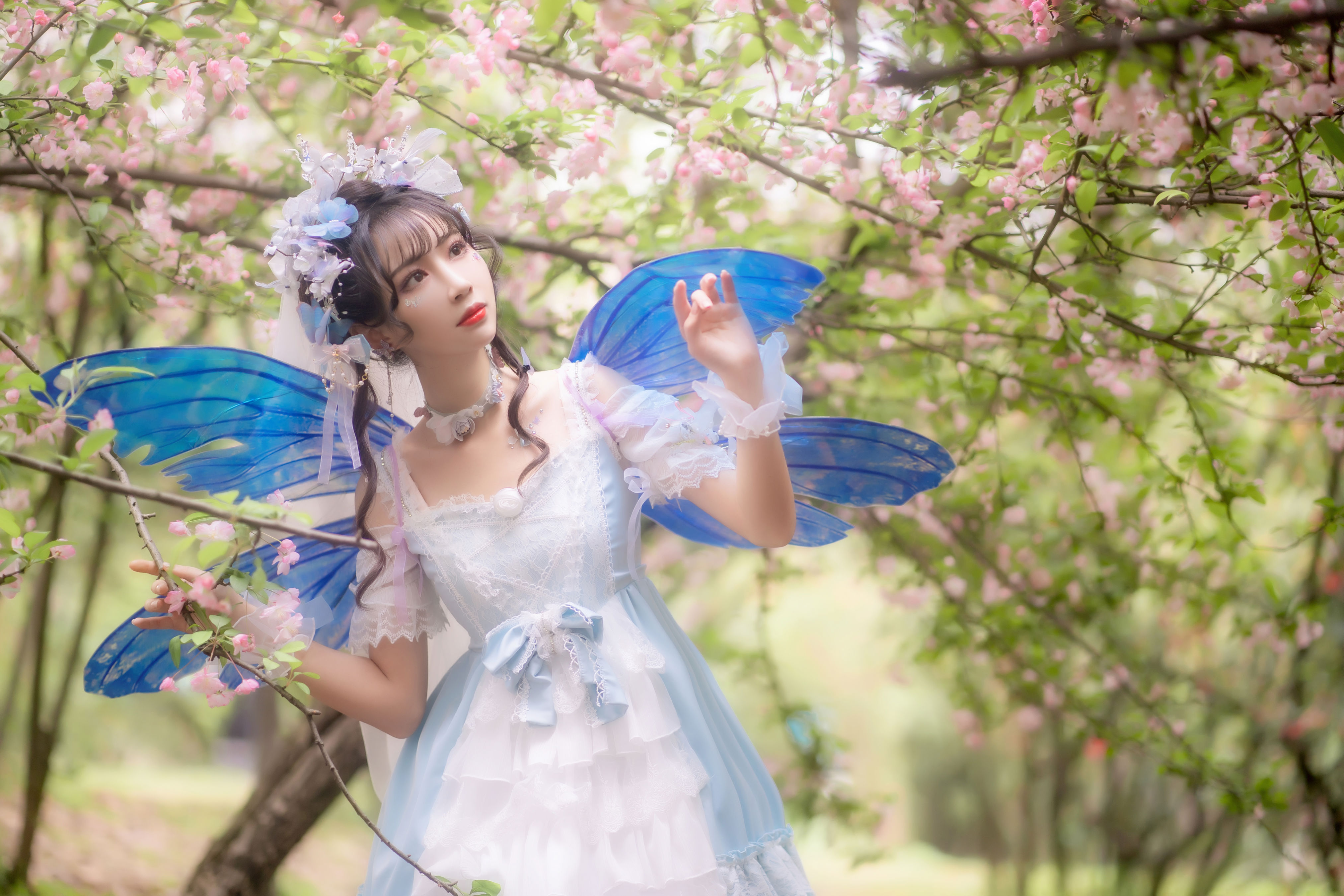 森之小精灵