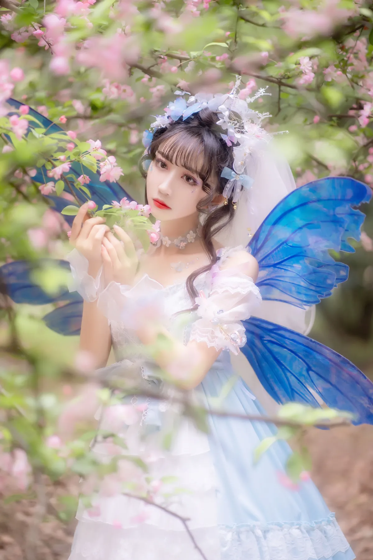 森之小精灵2