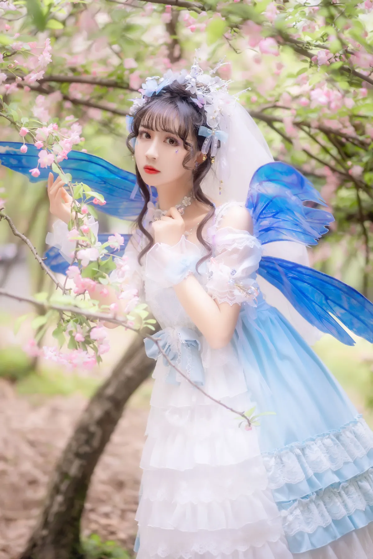 森之小精灵
