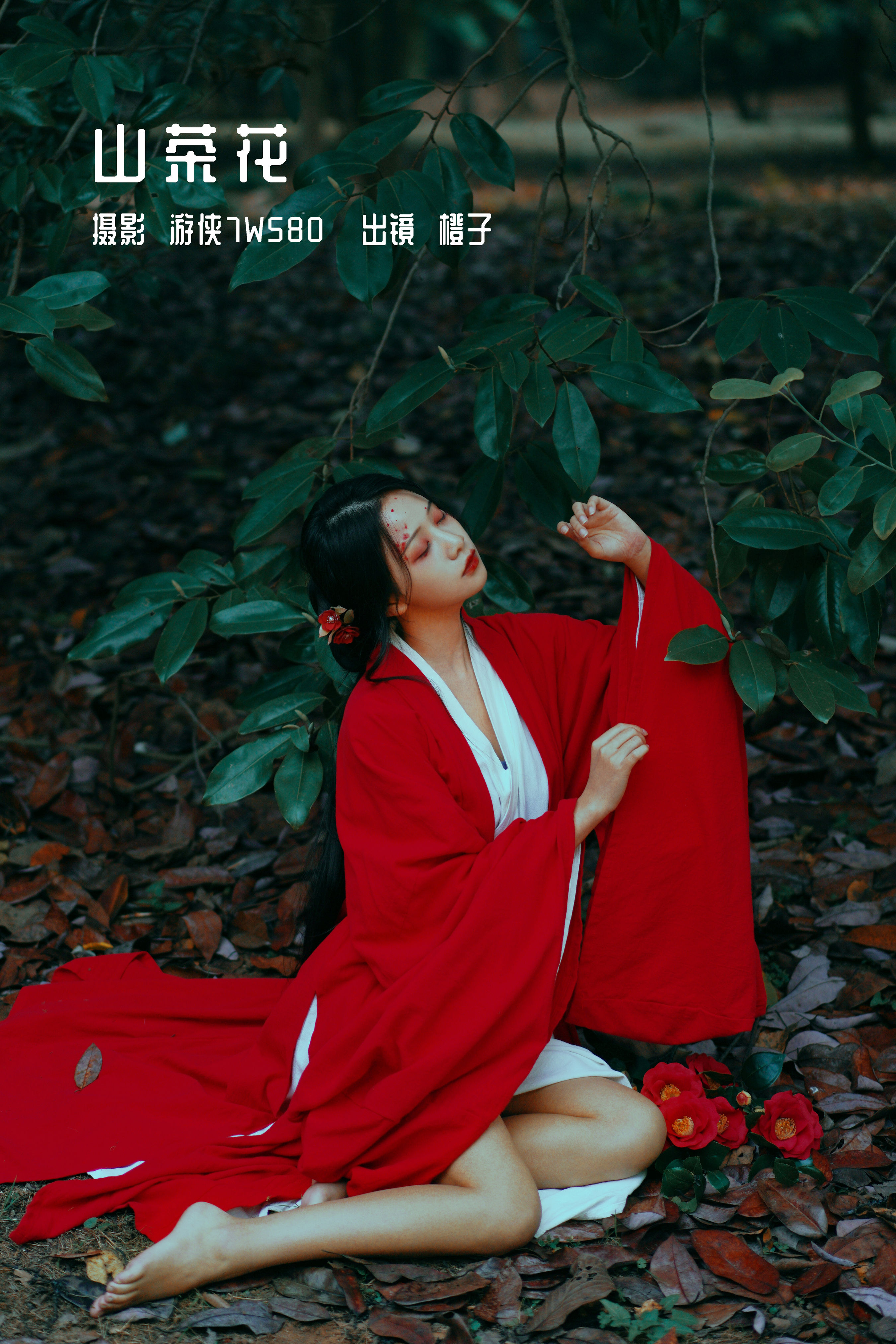 游侠7W580_橙子舒《山茶花》美图作品图片1