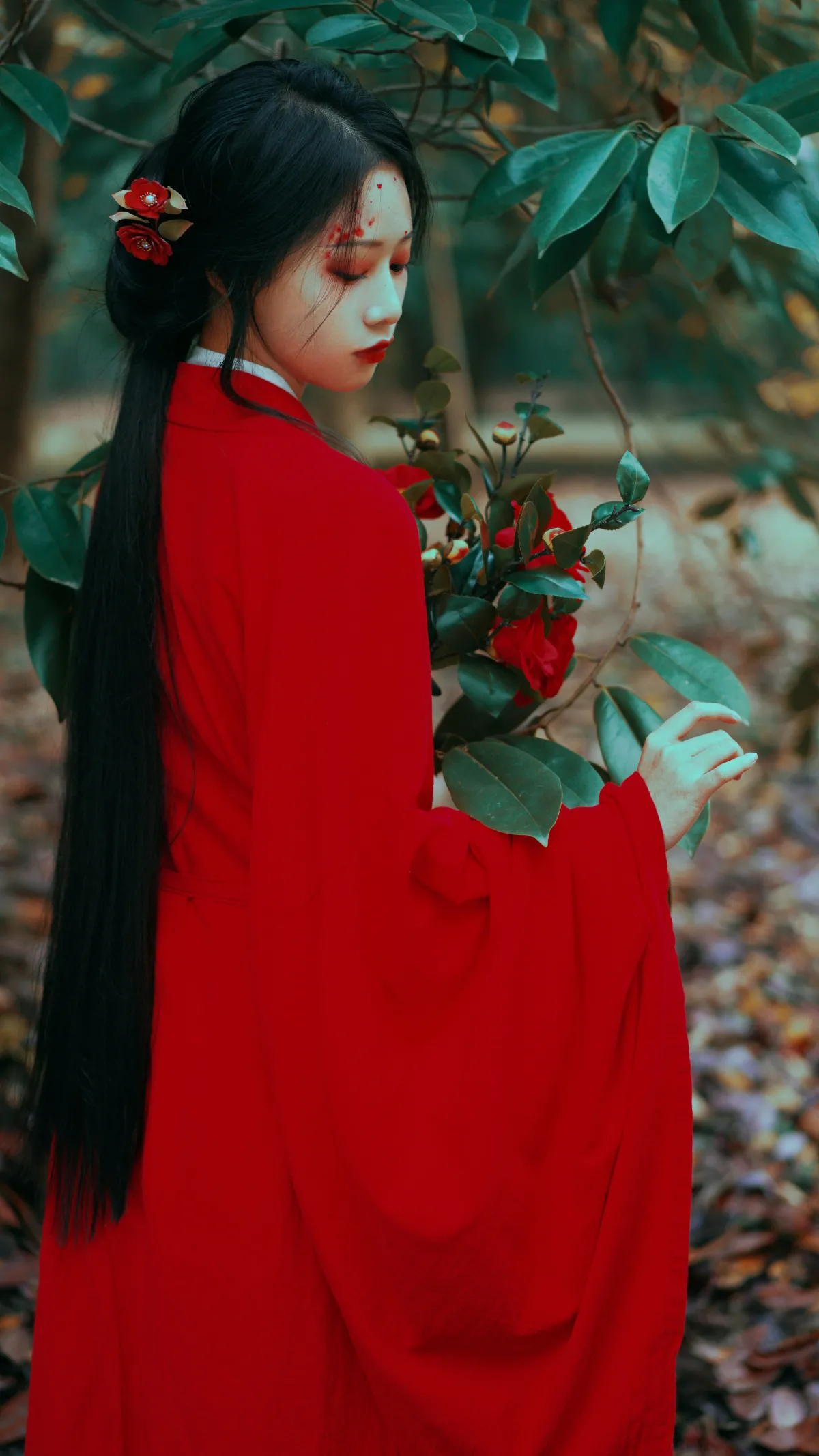 山茶花
