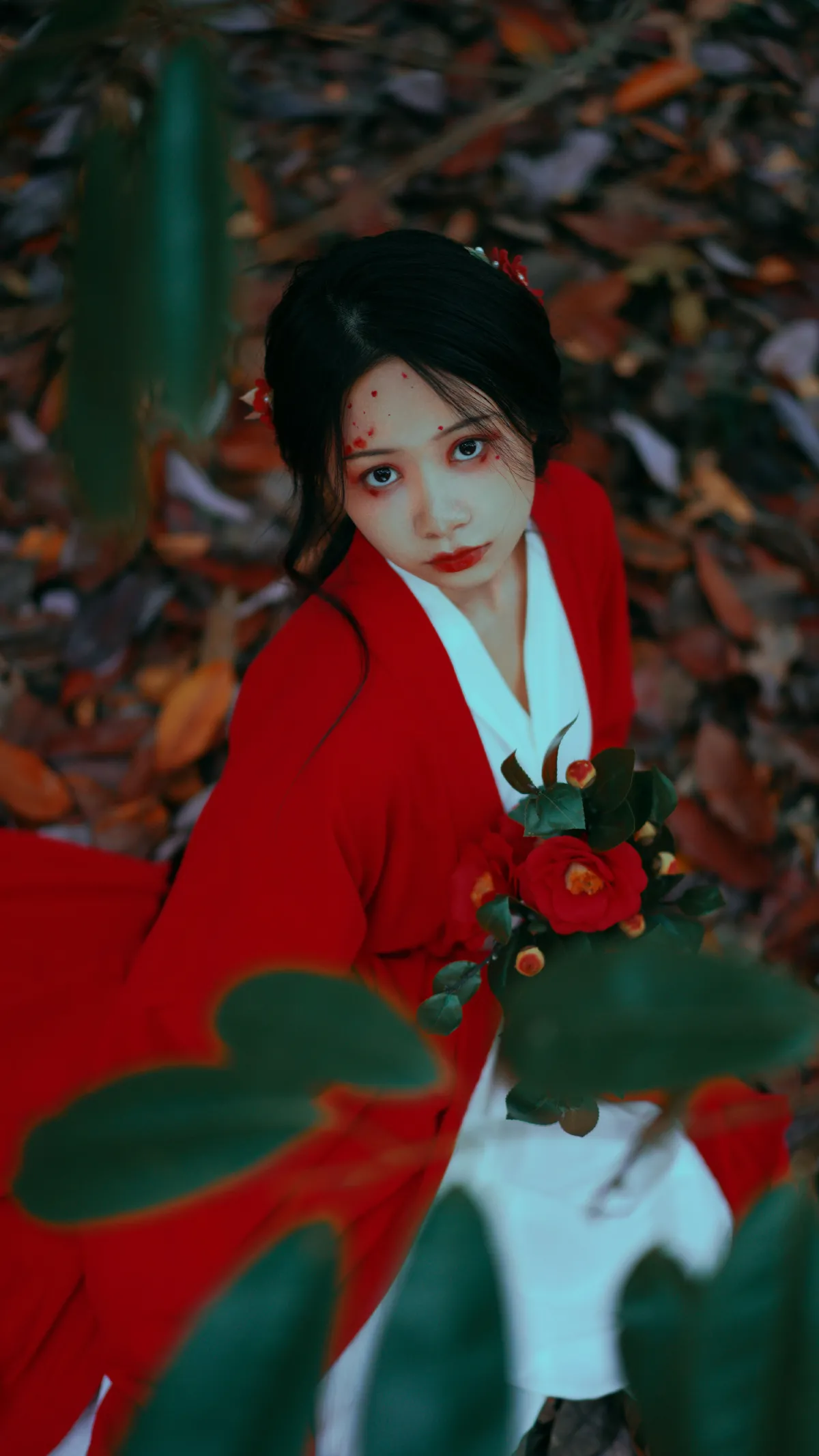 山茶花