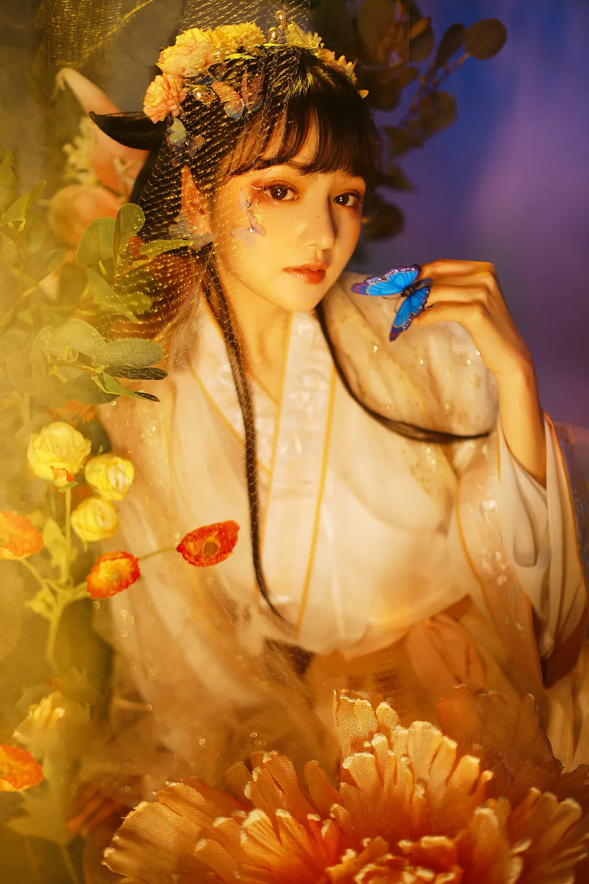 化蝶3