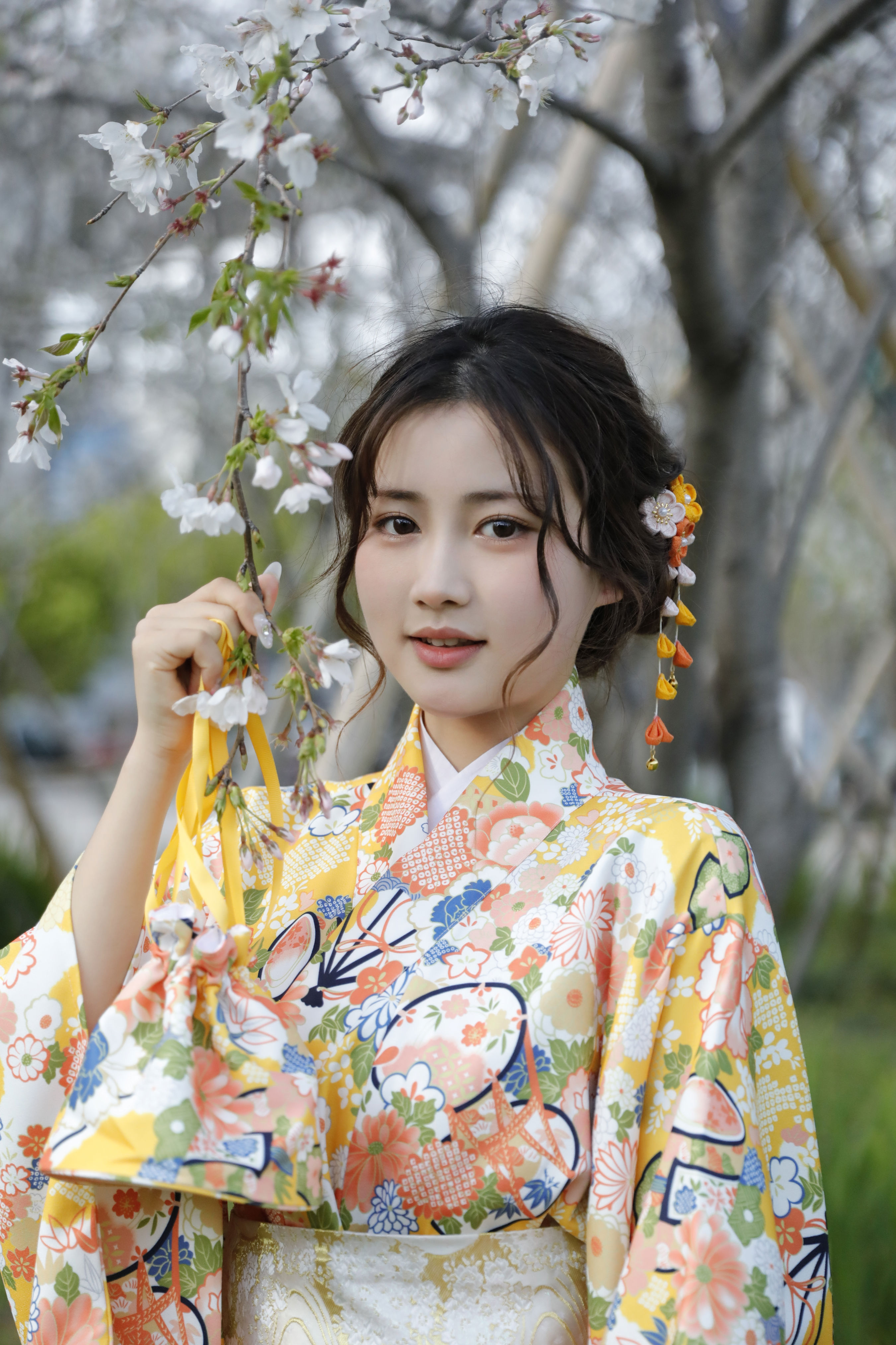 绣球花少女