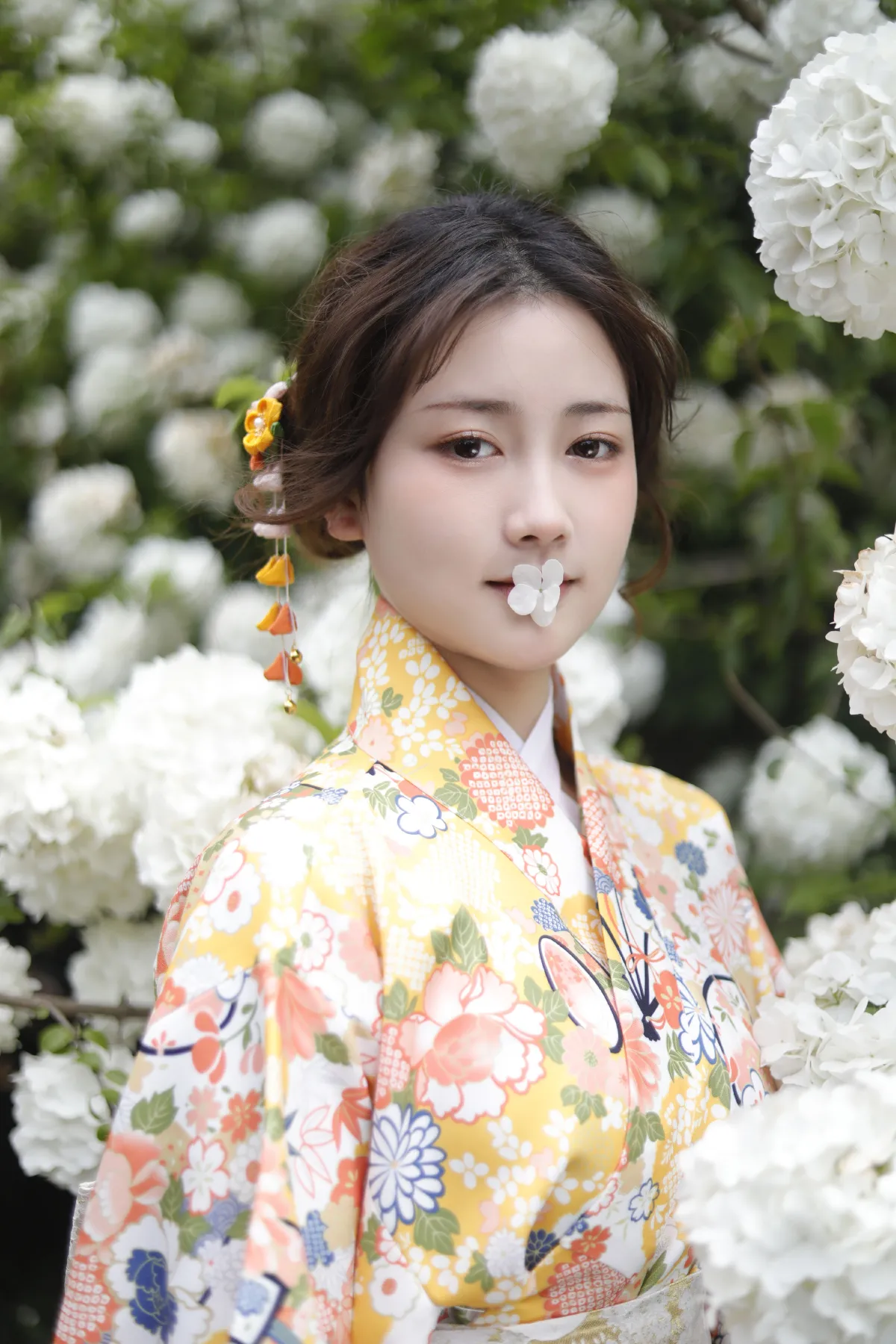 绣球花少女2