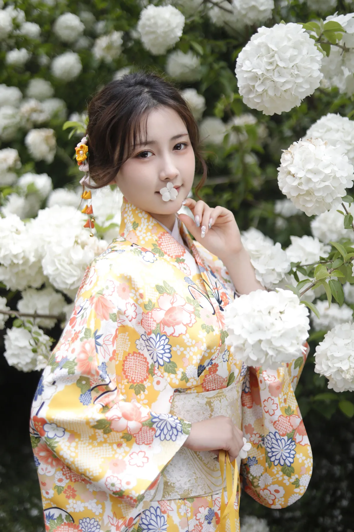 绣球花少女3