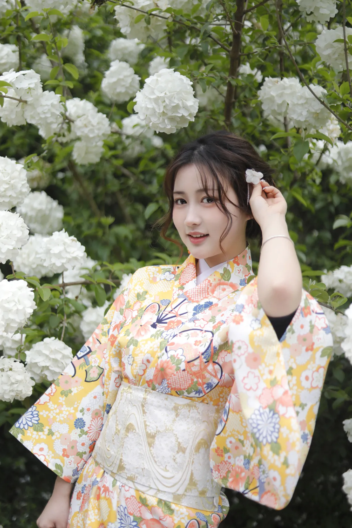 绣球花少女