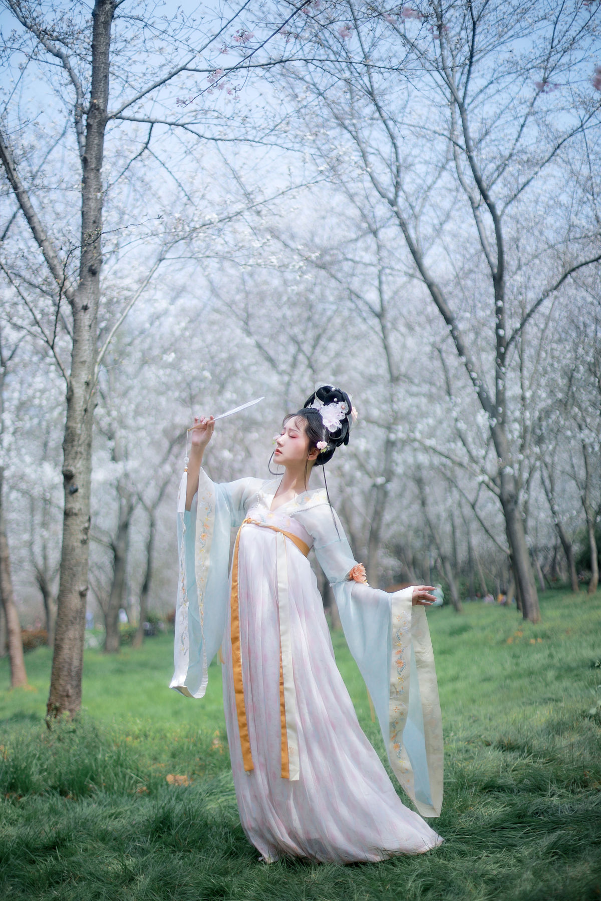 樱花仙子1