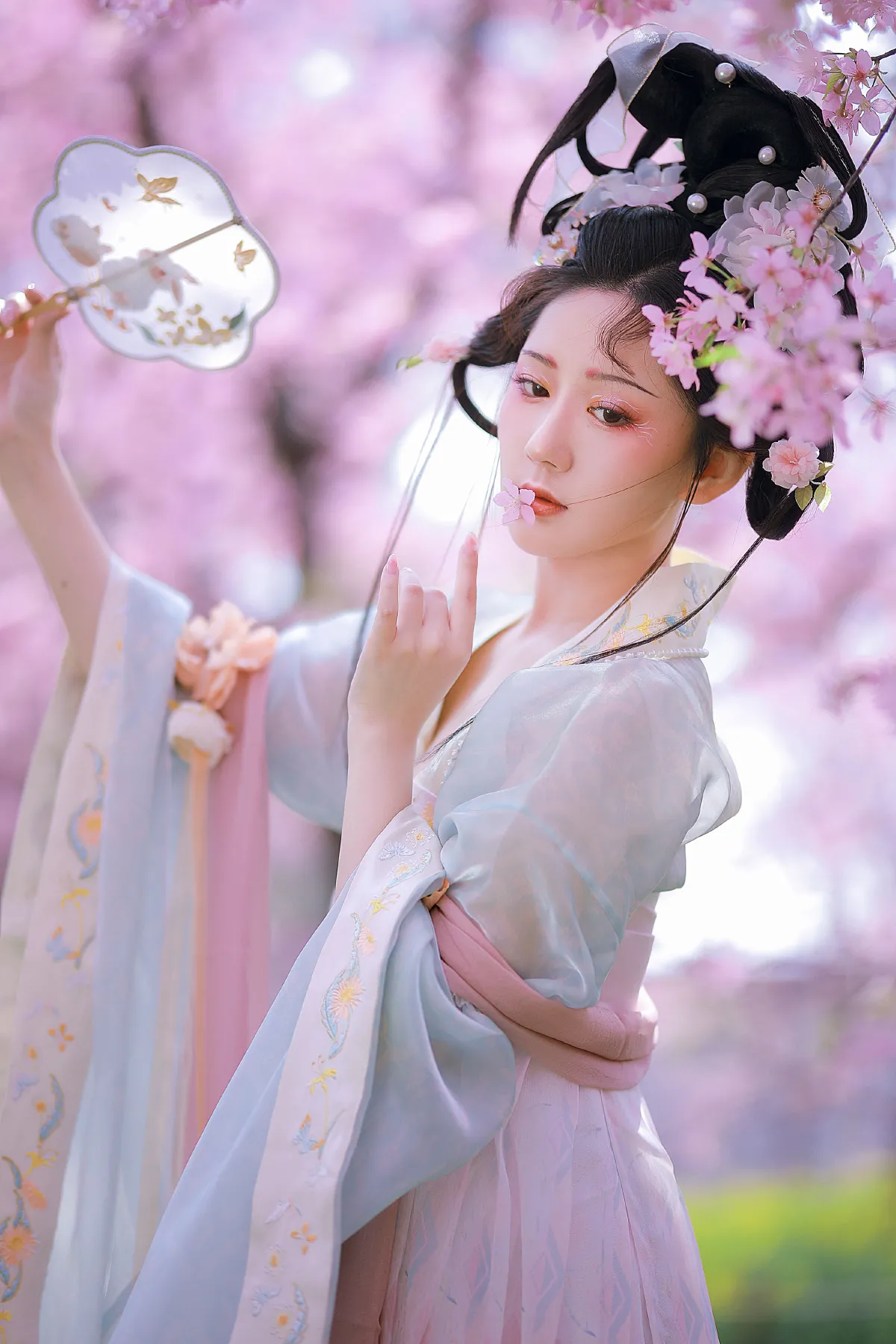 樱花仙子