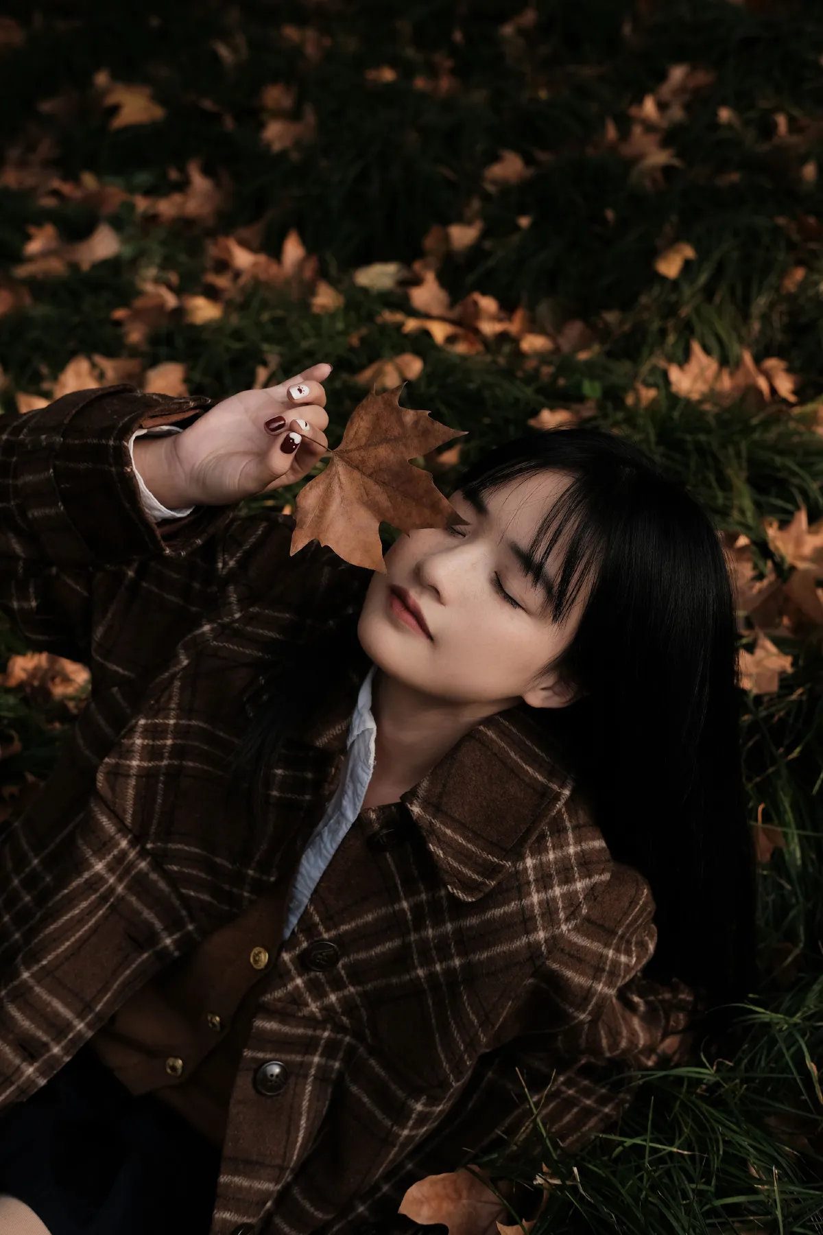 栗子深秋