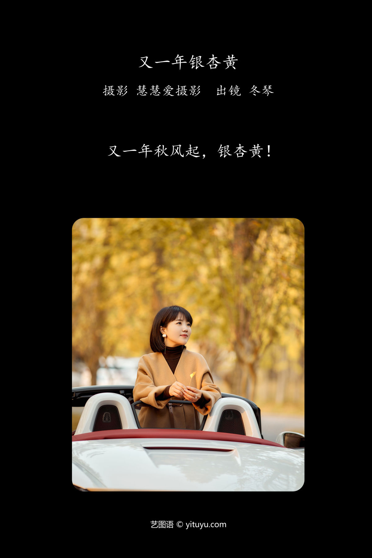 慧慧爱摄影_冬琴《又一年银杏黄》美图作品图片2