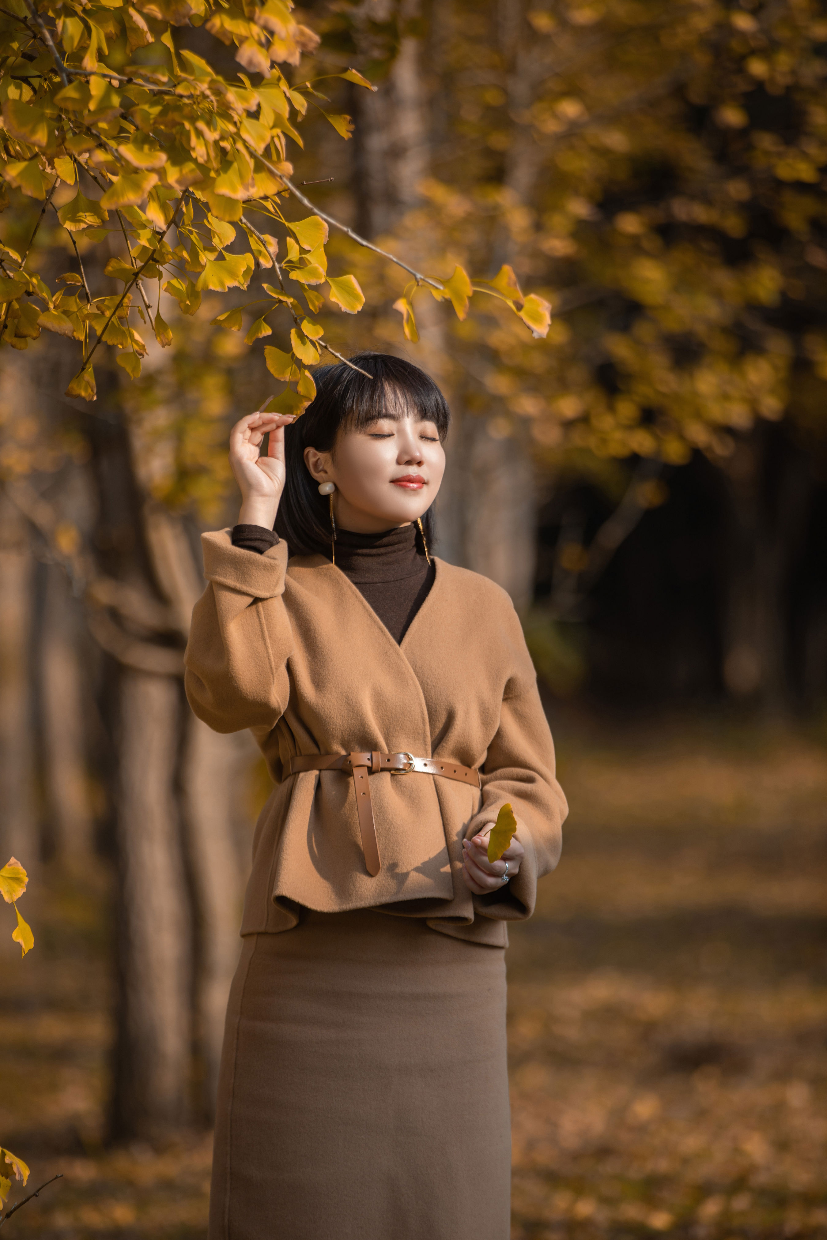 又一年银杏黄