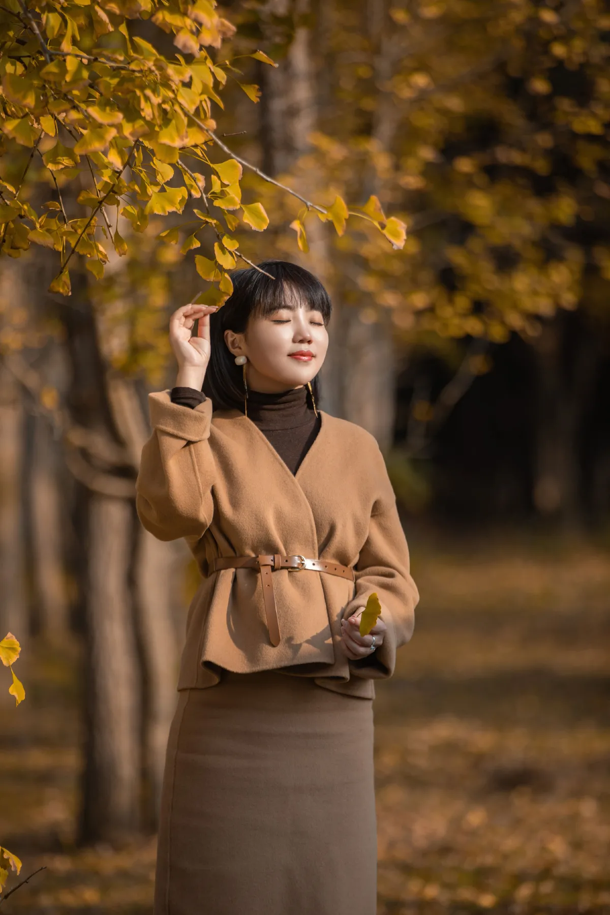 又一年银杏黄1
