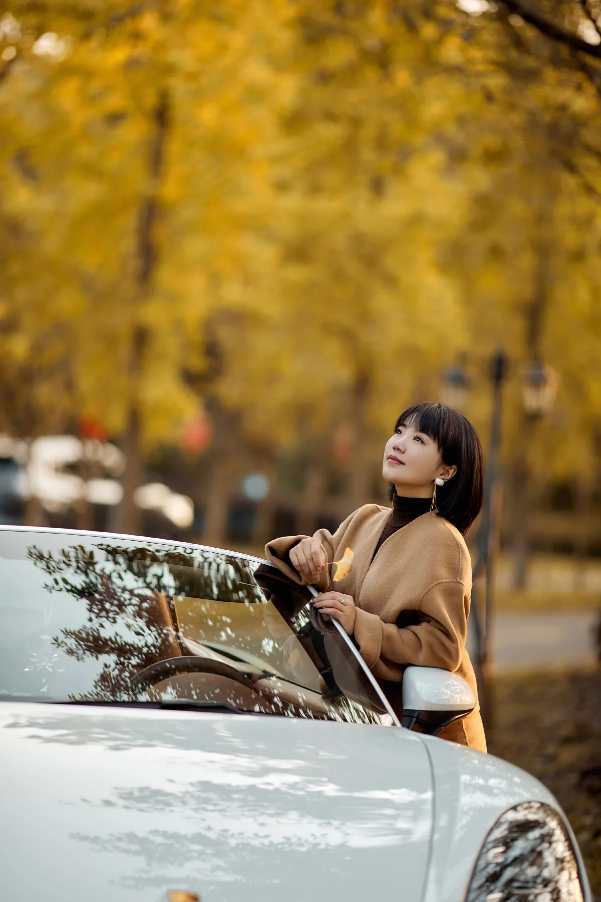 又一年银杏黄