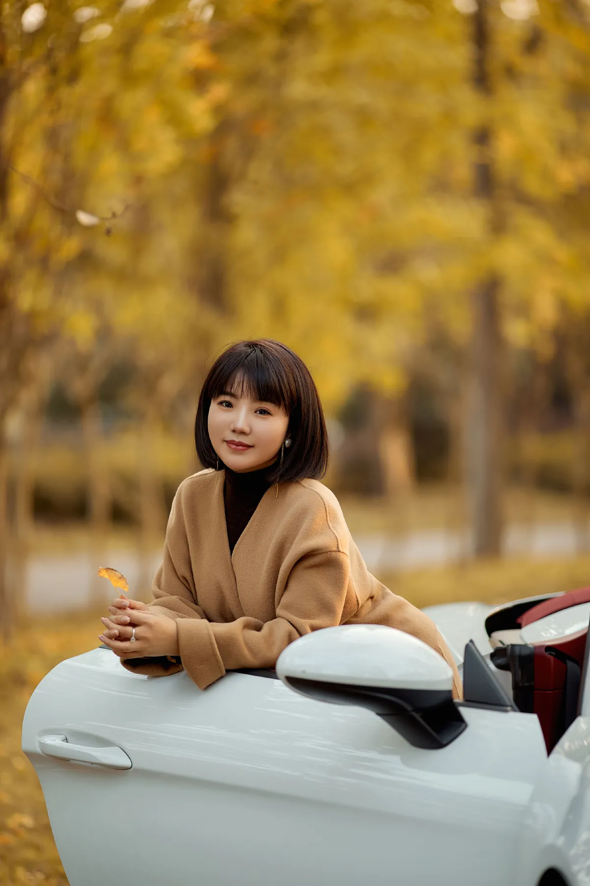 又一年银杏黄