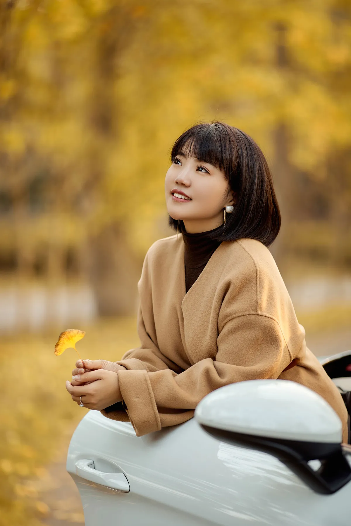 又一年银杏黄