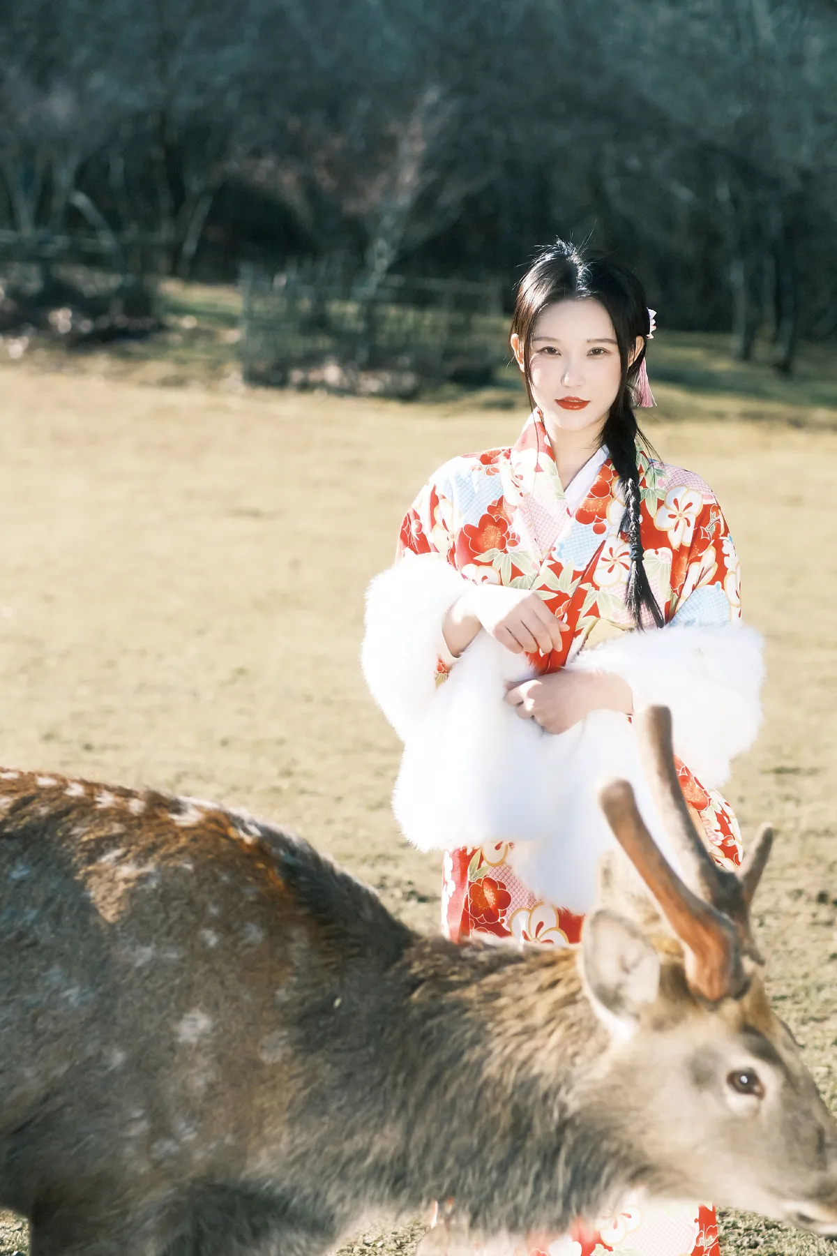 与鹿2