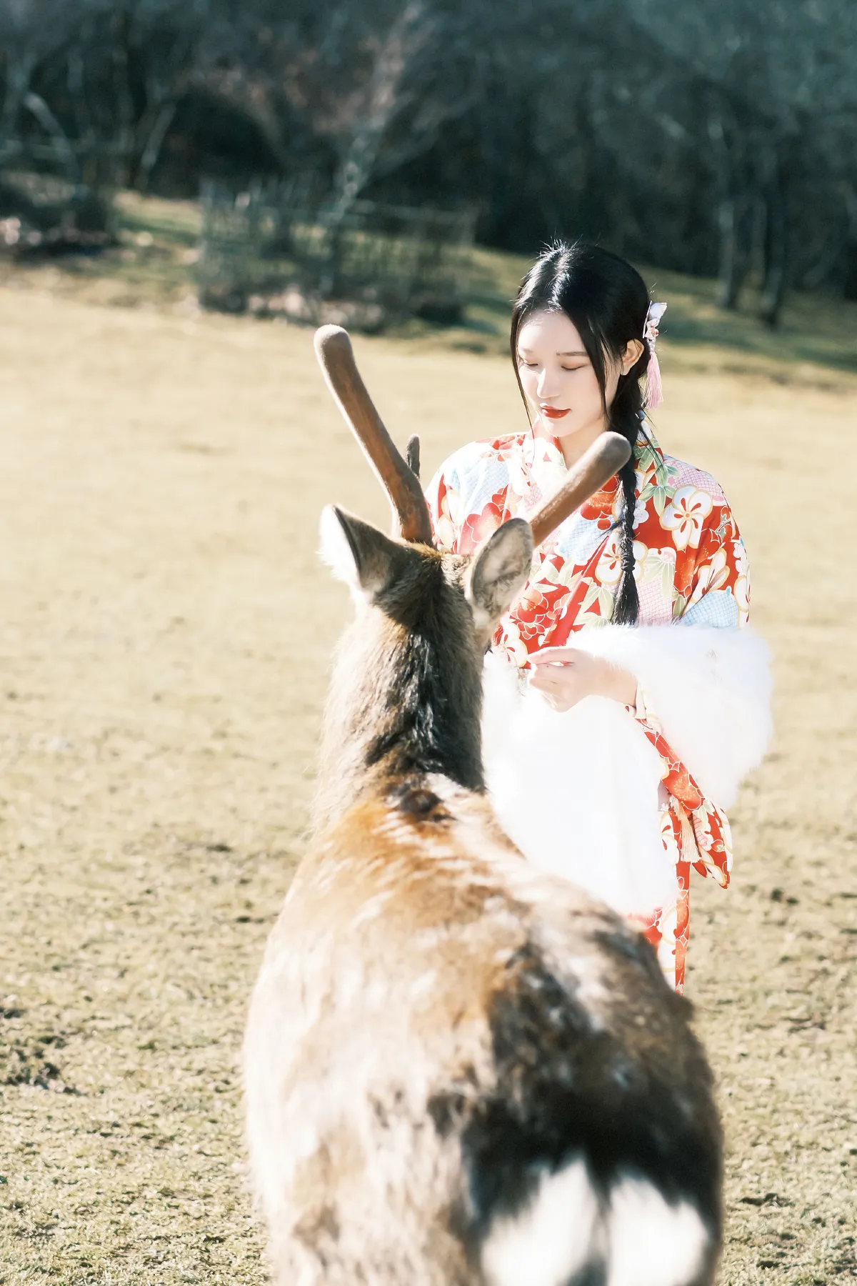 与鹿