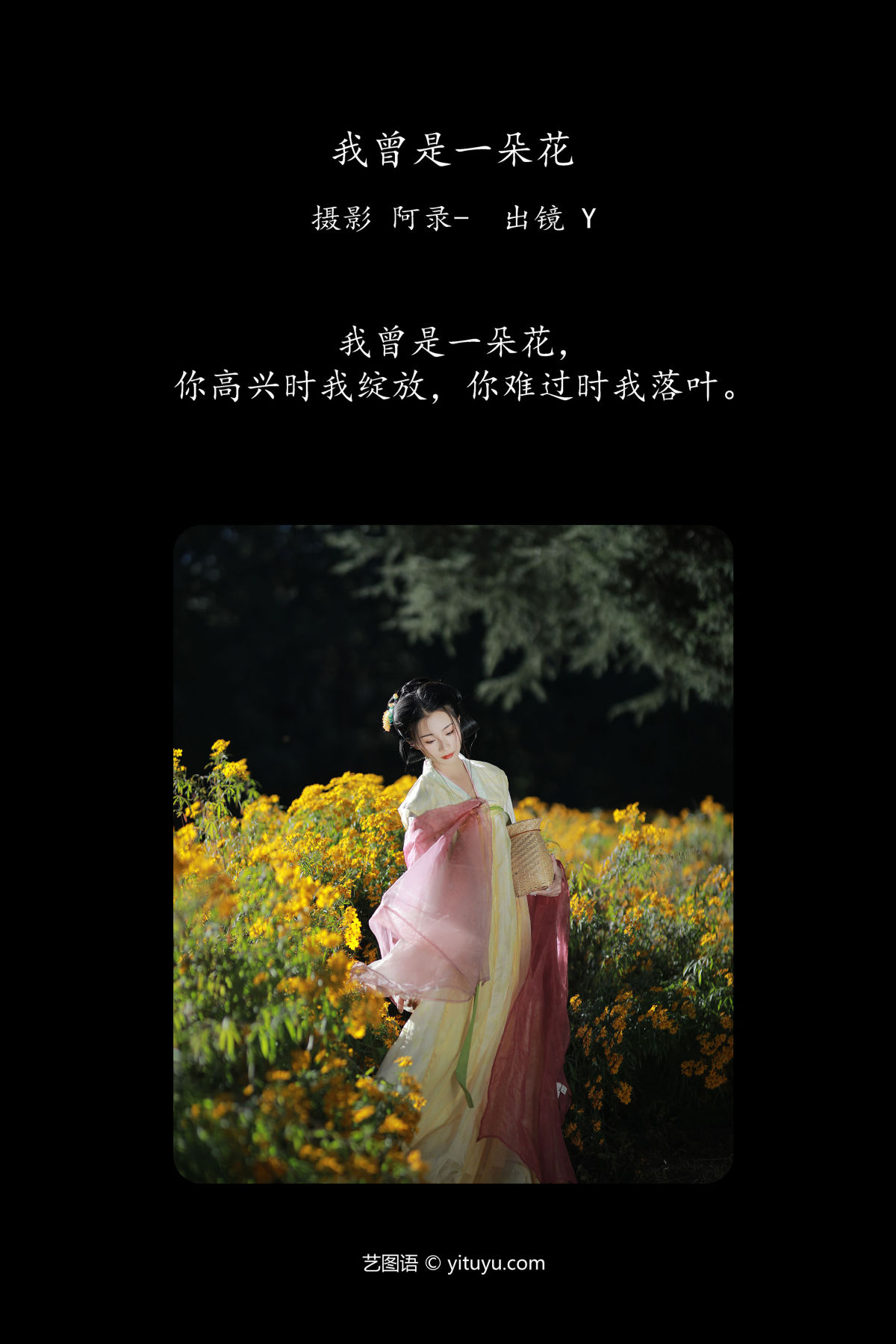 阿录-_Y《我曾是一朵花》美图作品图片2