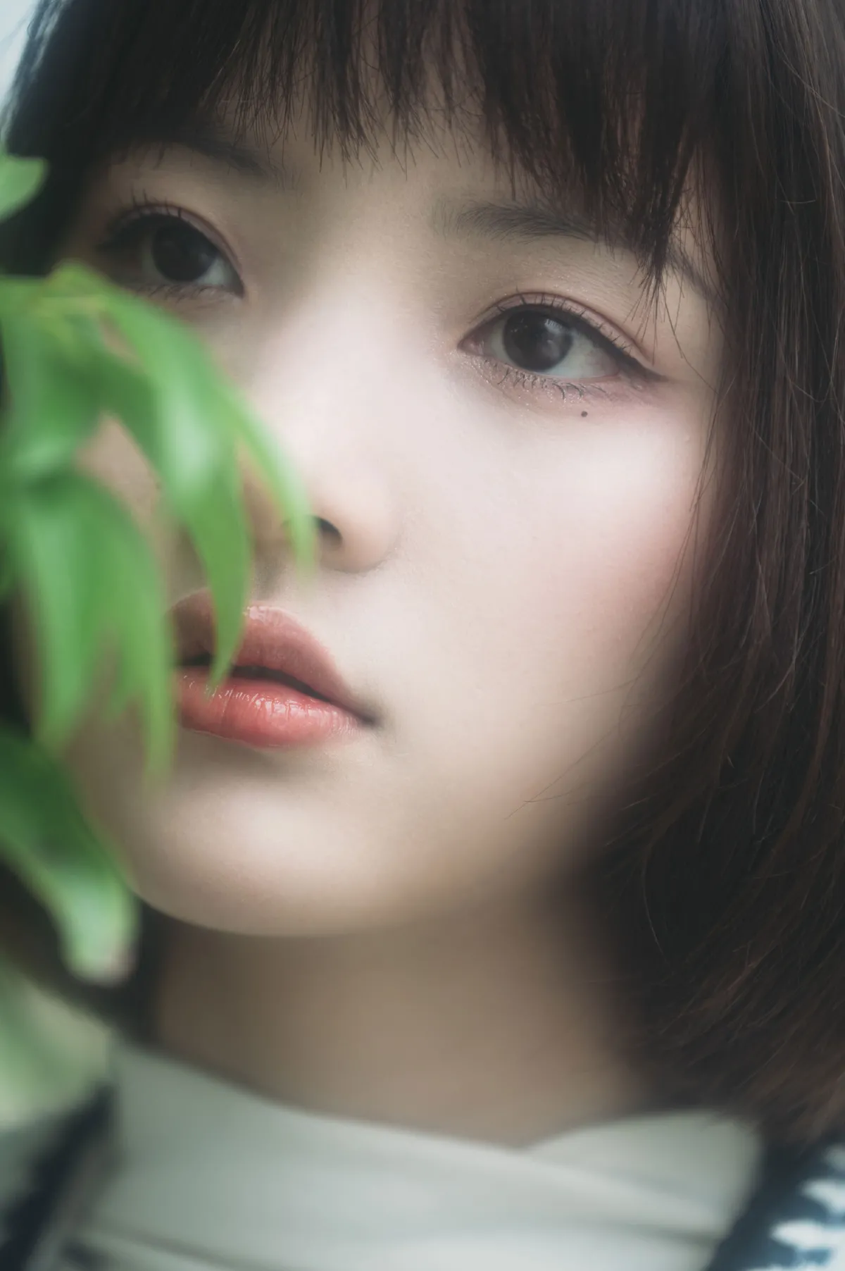 美梦与诗歌