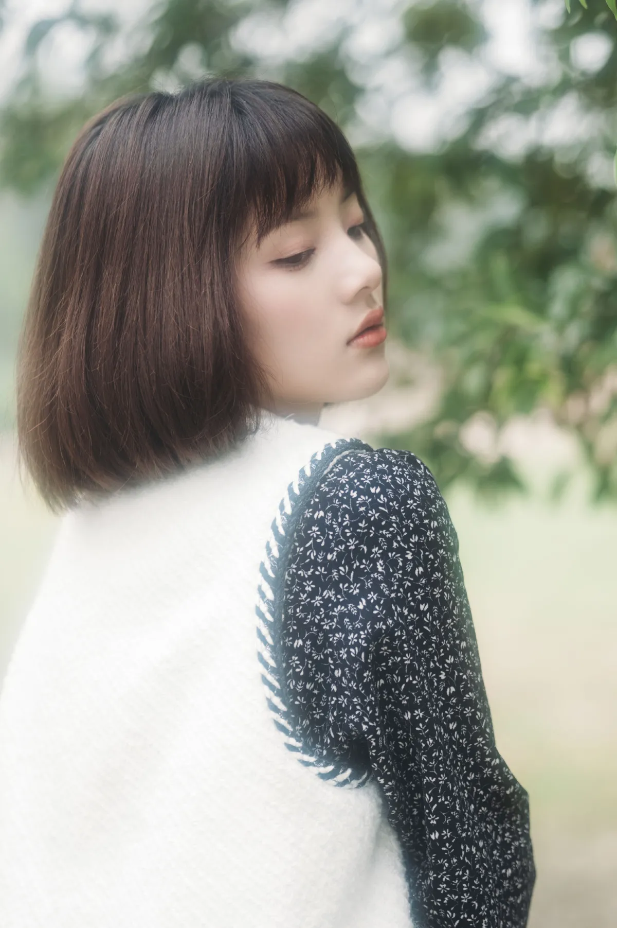 美梦与诗歌