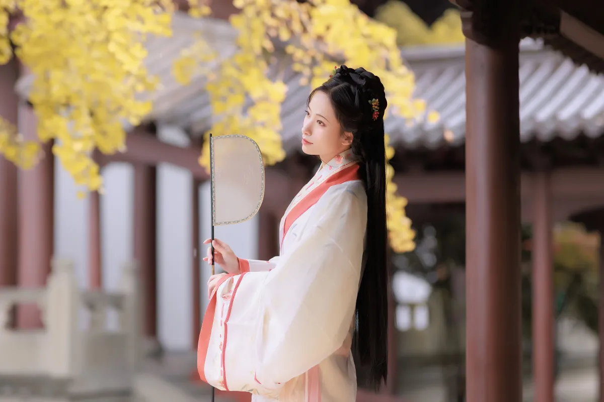 雨中银杏1