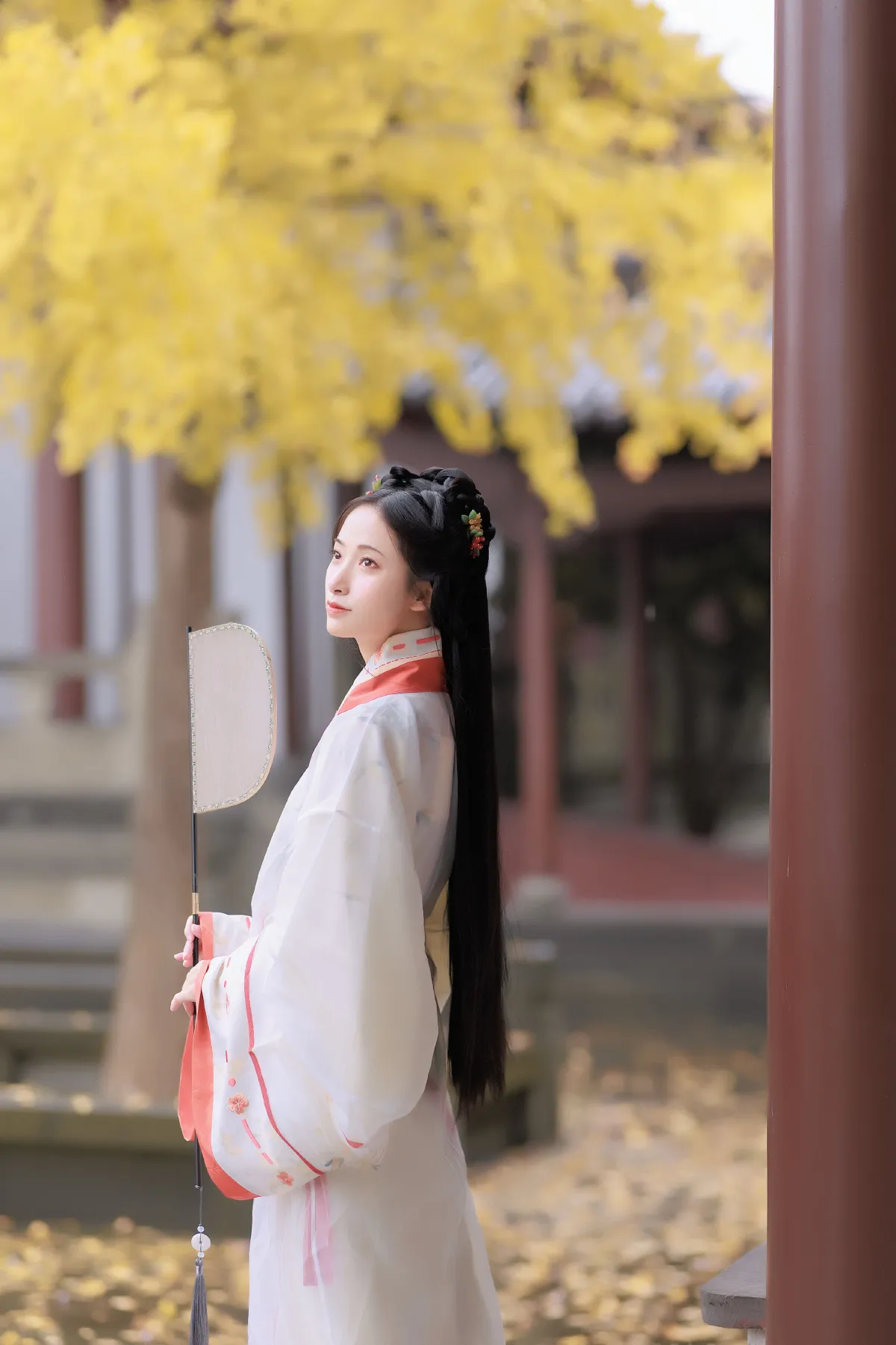 雨中银杏2