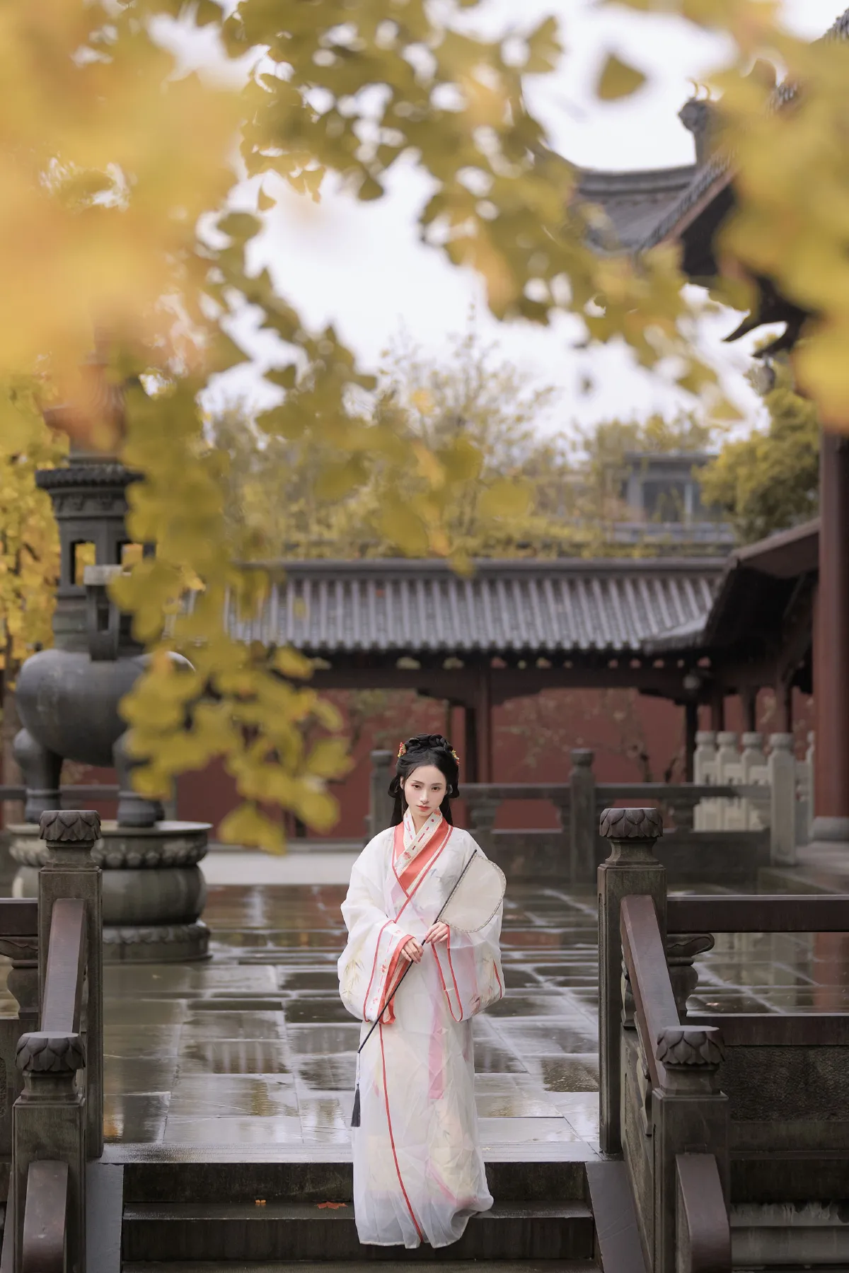 雨中银杏