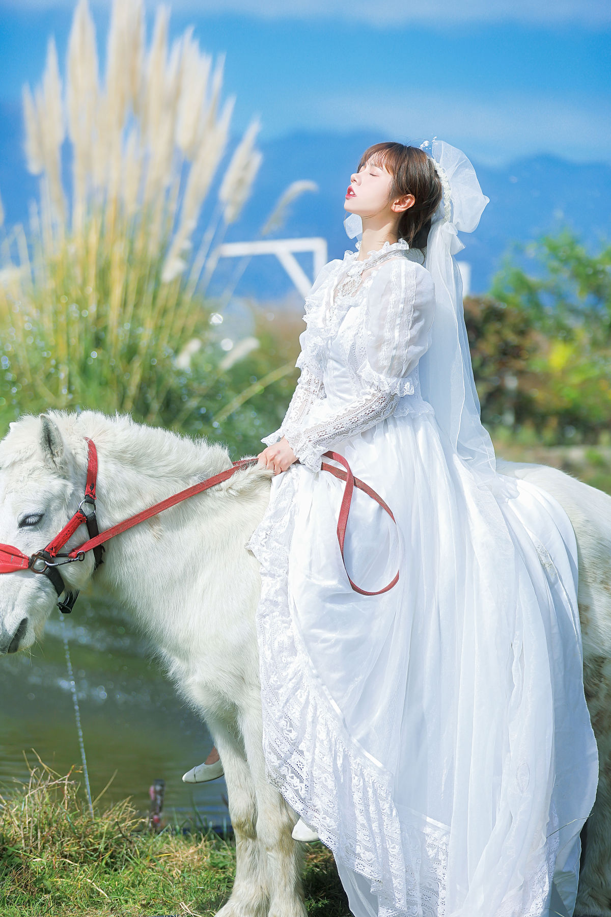 山药排骨汤_林木婷子《桑桑，我带你回家。》美图作品图片1