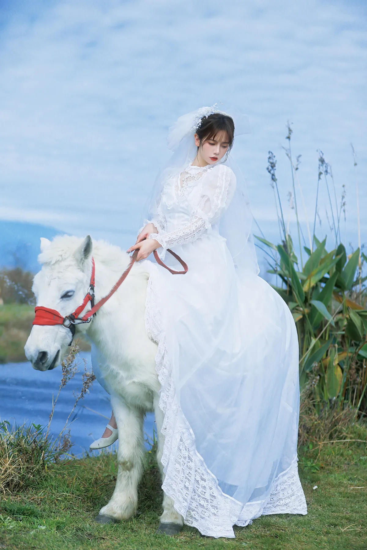 山药排骨汤_林木婷子《桑桑，我带你回家。》美图作品图片2